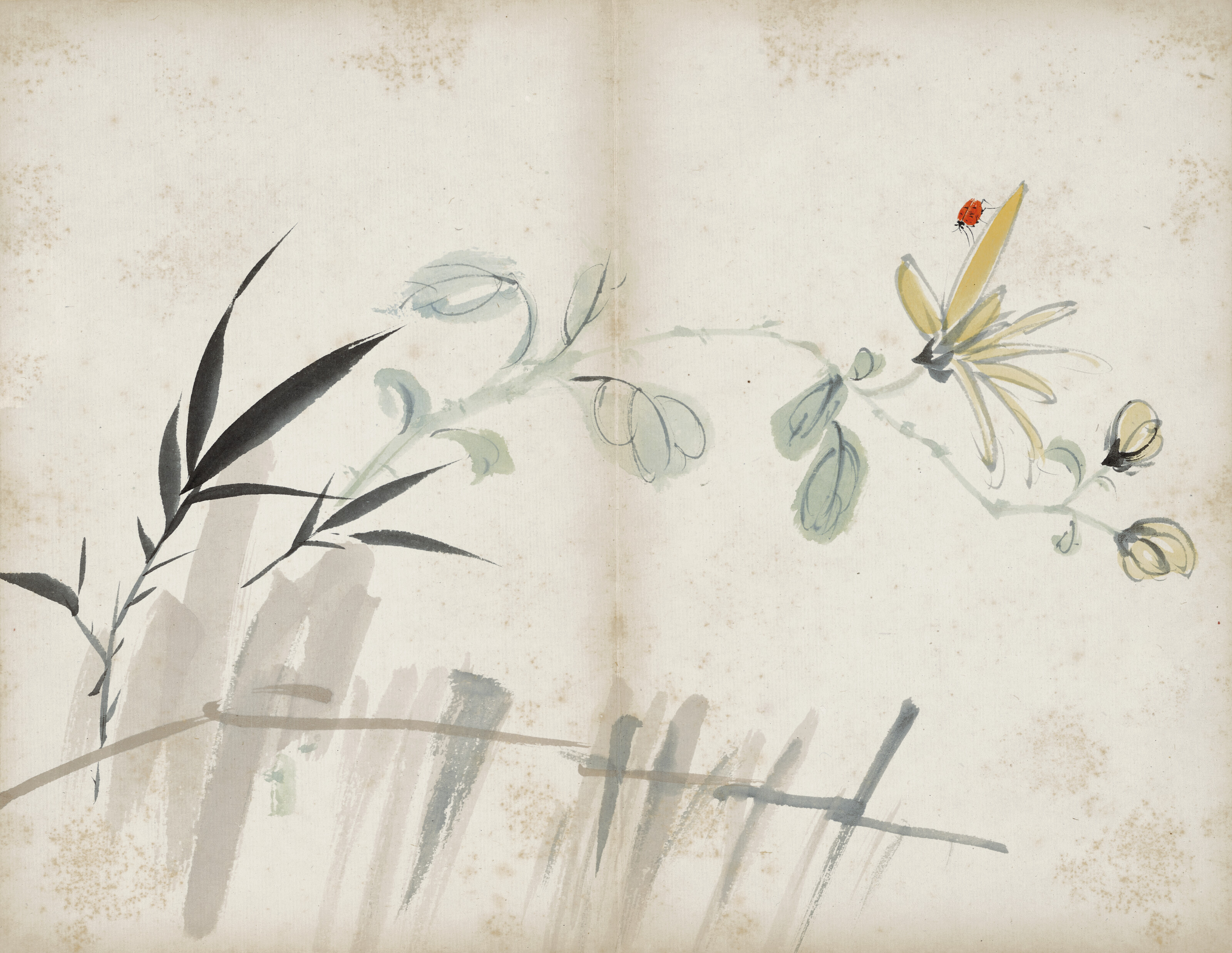 Qi Baishi — Альбом с цветами, изображение 16