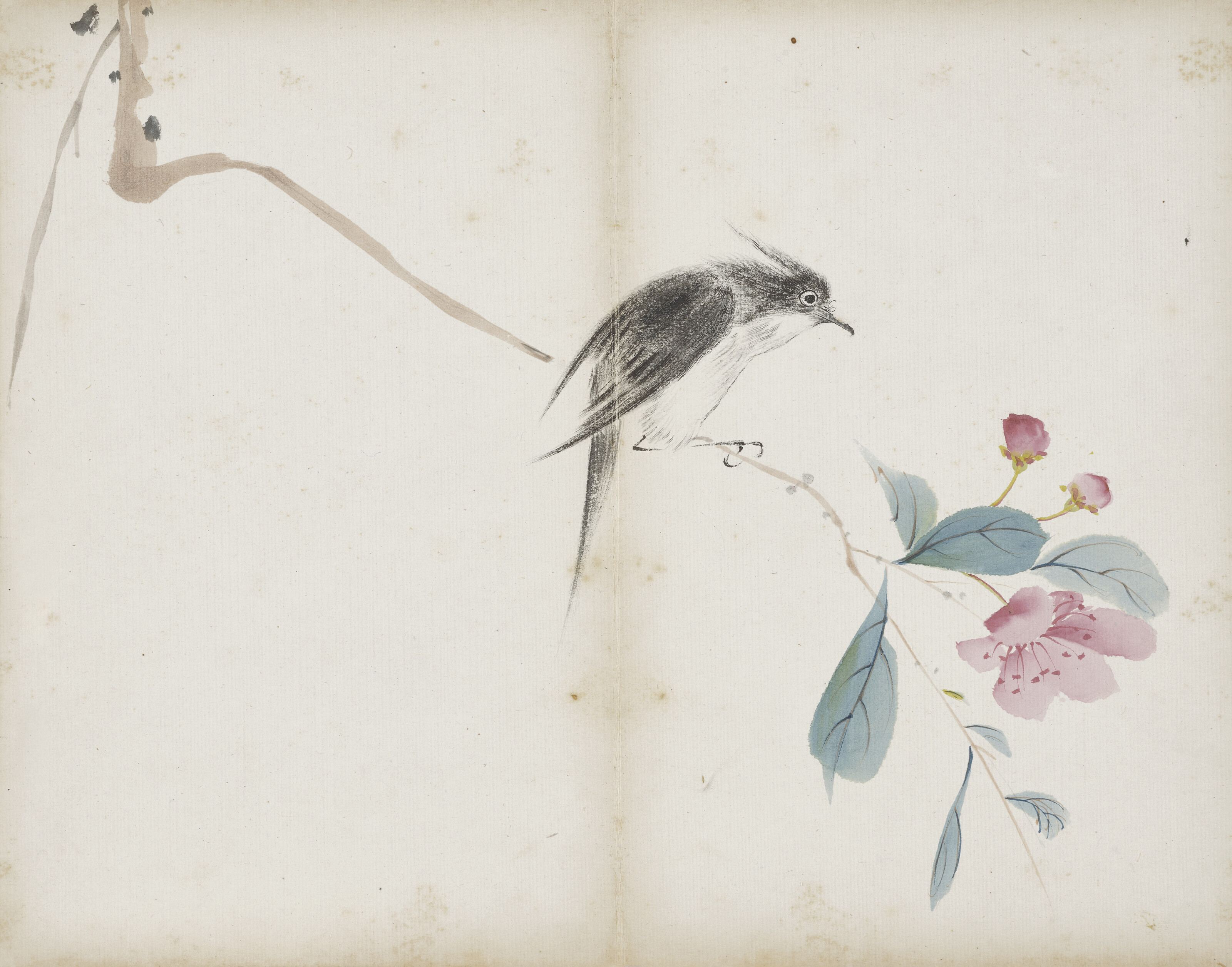 Qi Baishi — Альбом с цветами, изображение 8