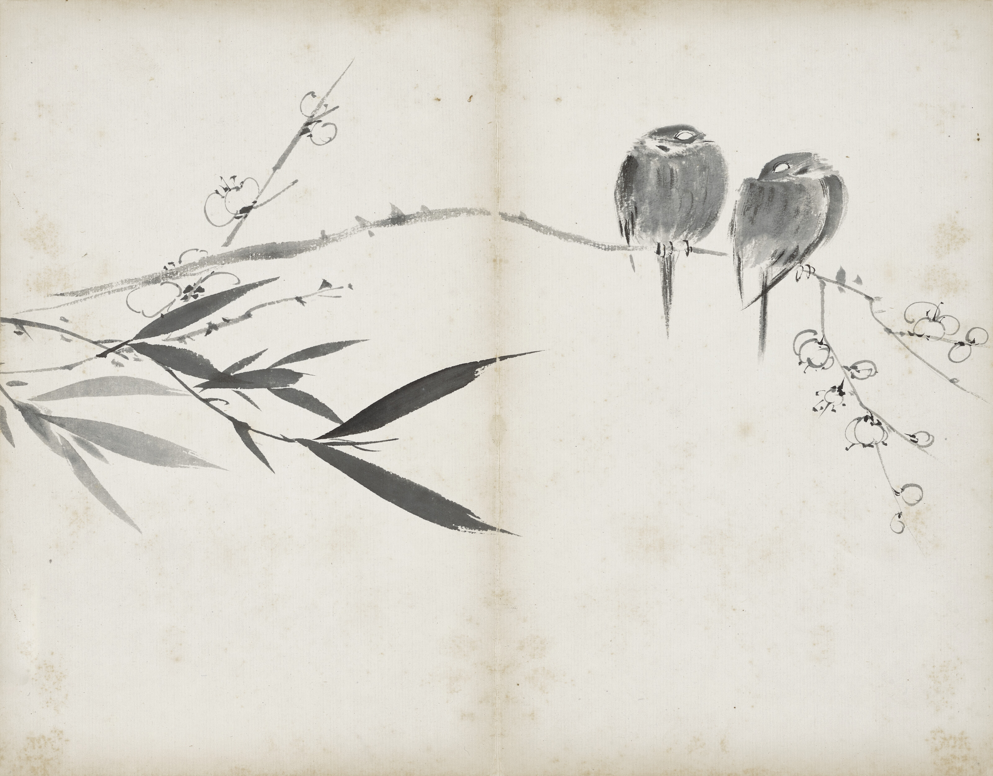 Qi Baishi — Альбом с цветами, изображение 9