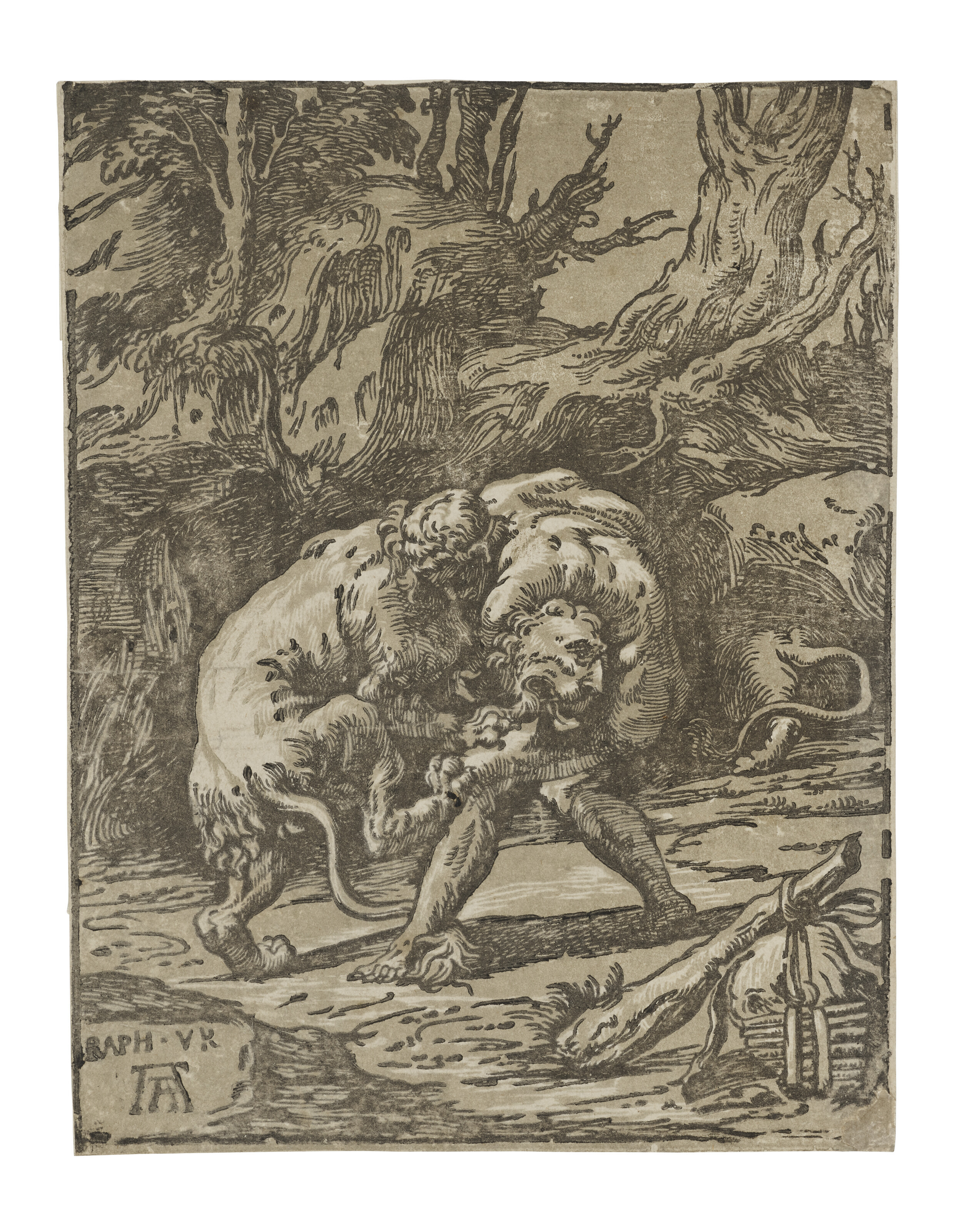 Raphael — Hercules and the Nemean Lion