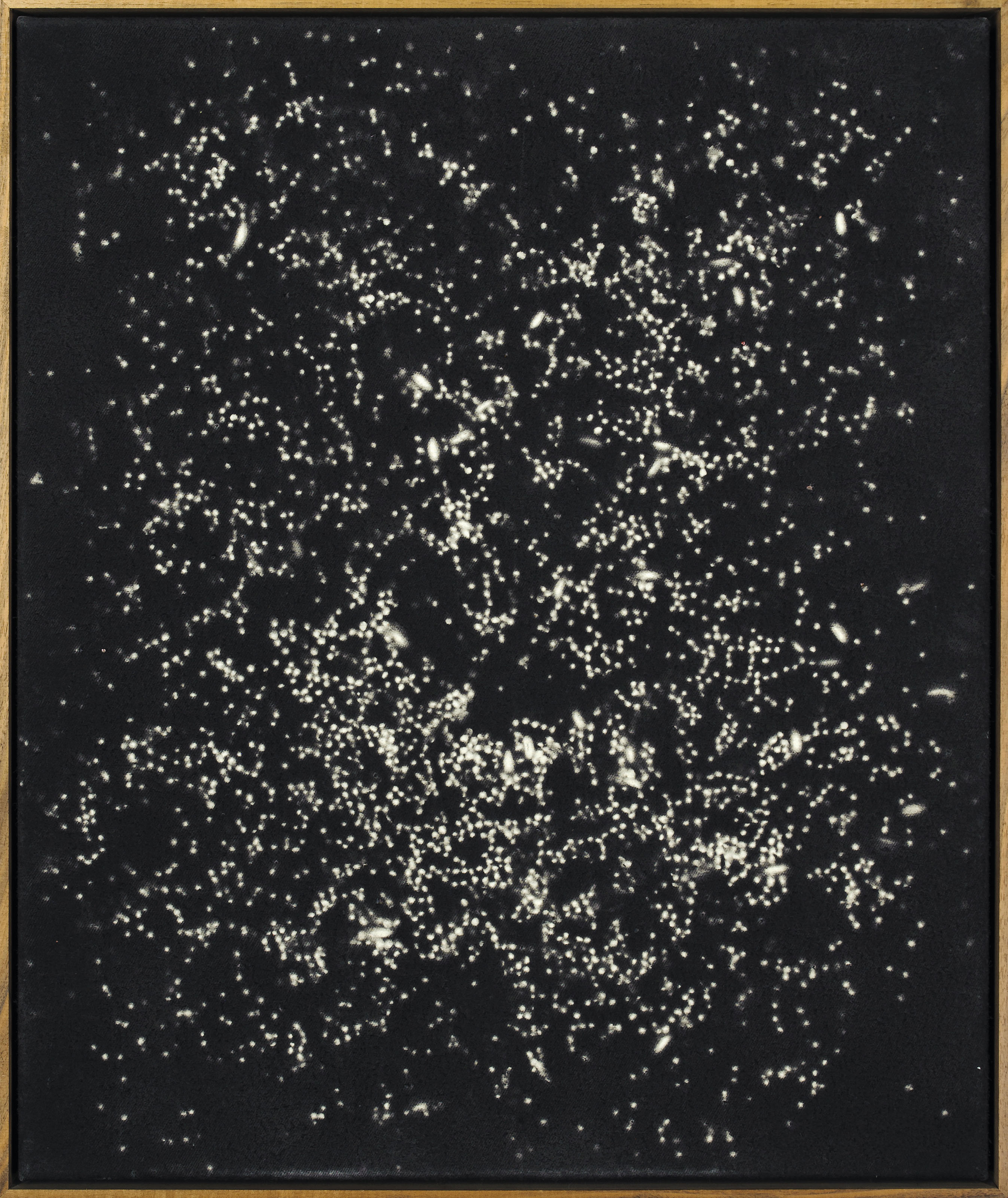 Rashid Johnson — Snatching Your People Up