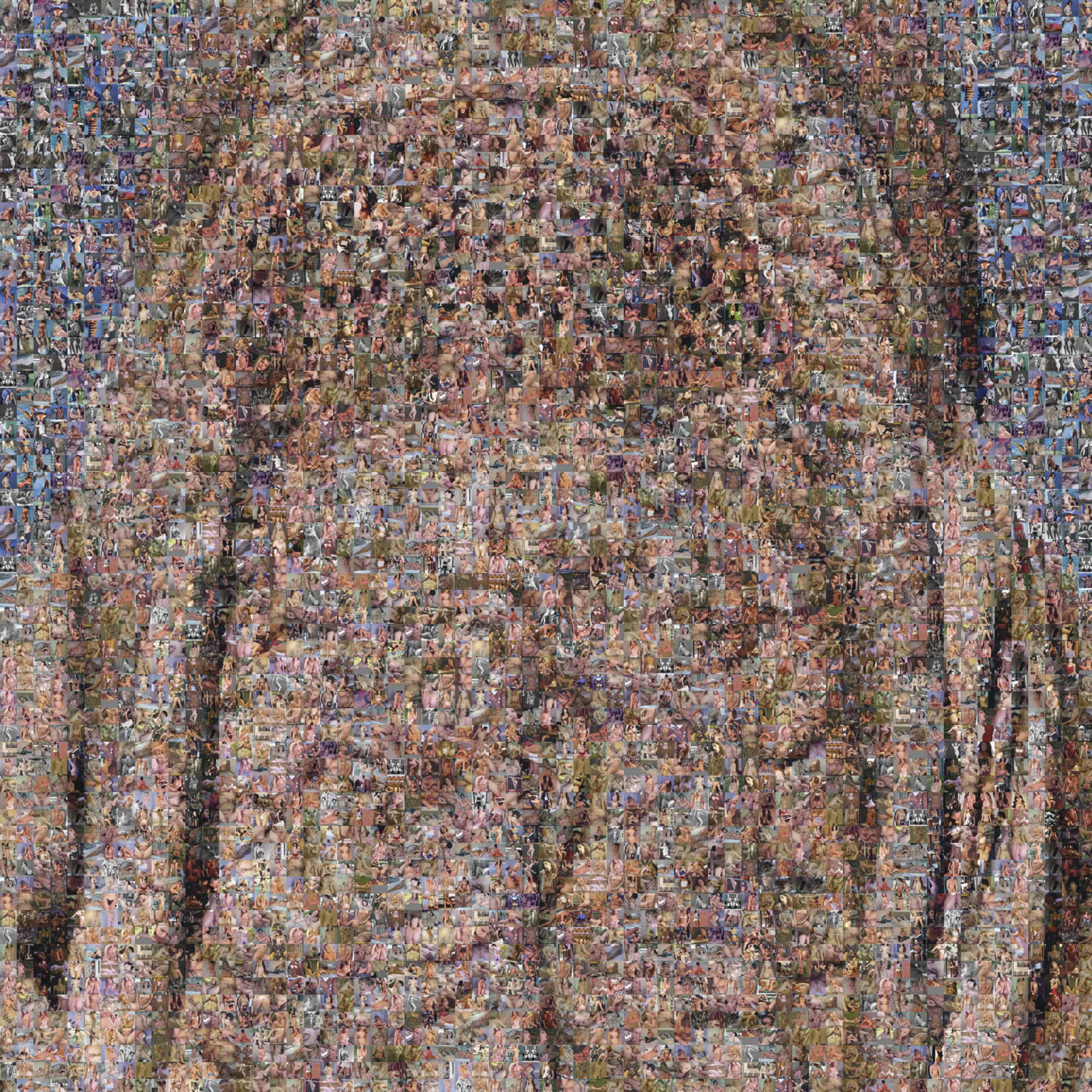 Rashid Rana — Veil III