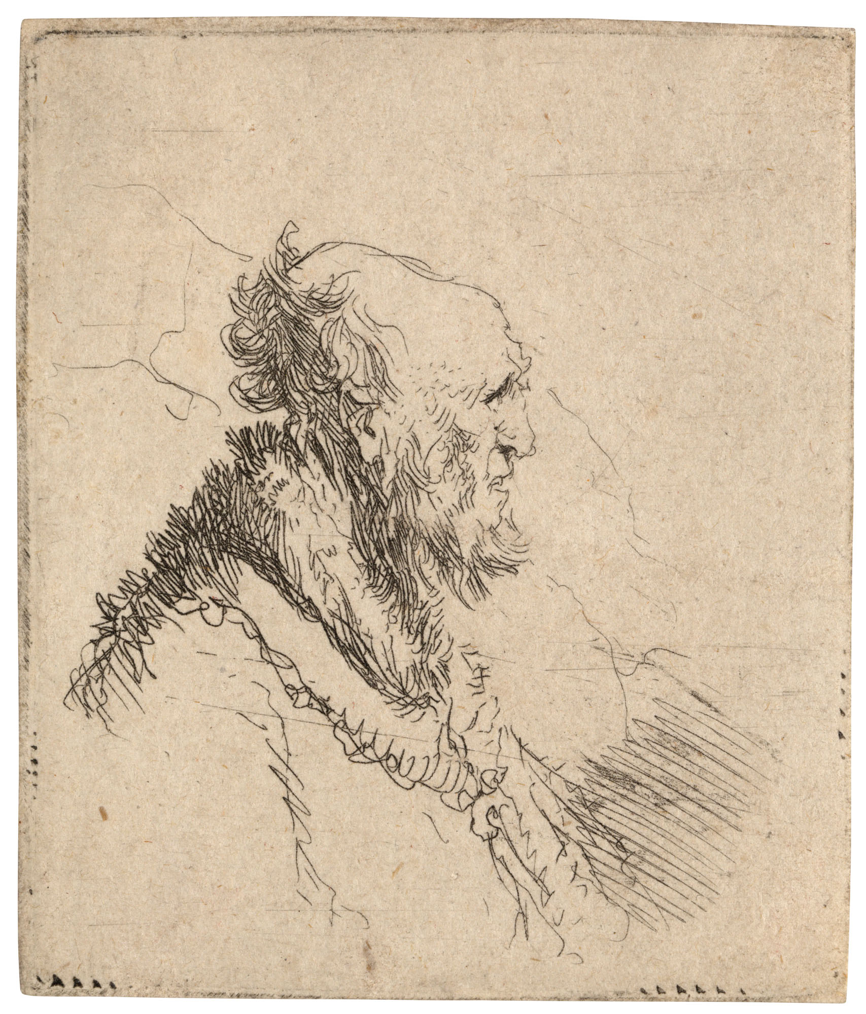 Rembrandt van Rijn — Лысый старик с короткой бородкой, в профиль справа