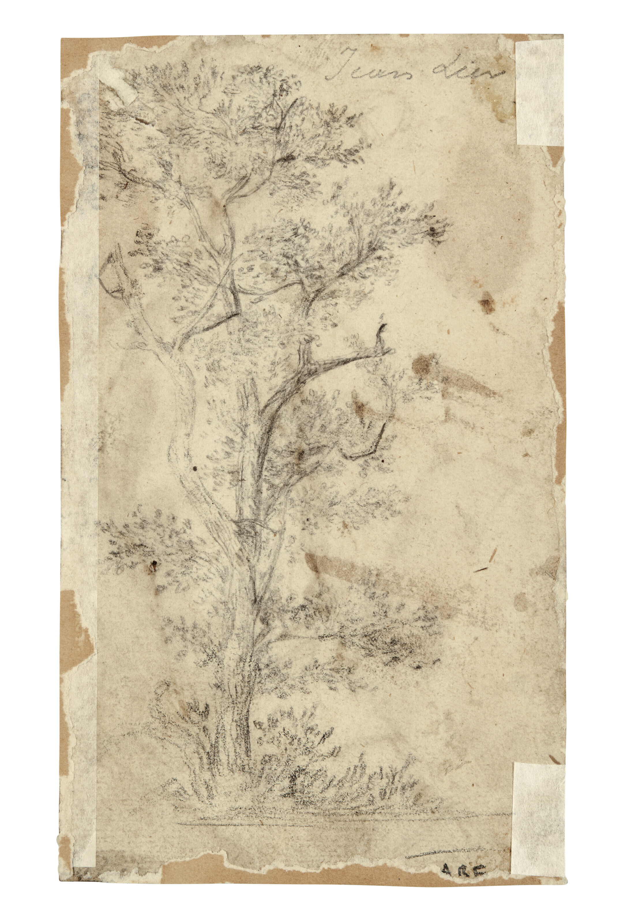 Rembrandt van Rijn — Молодой человек, играющий в профиль (сзади) ; Этюд по искусству (сзади), изображение 2