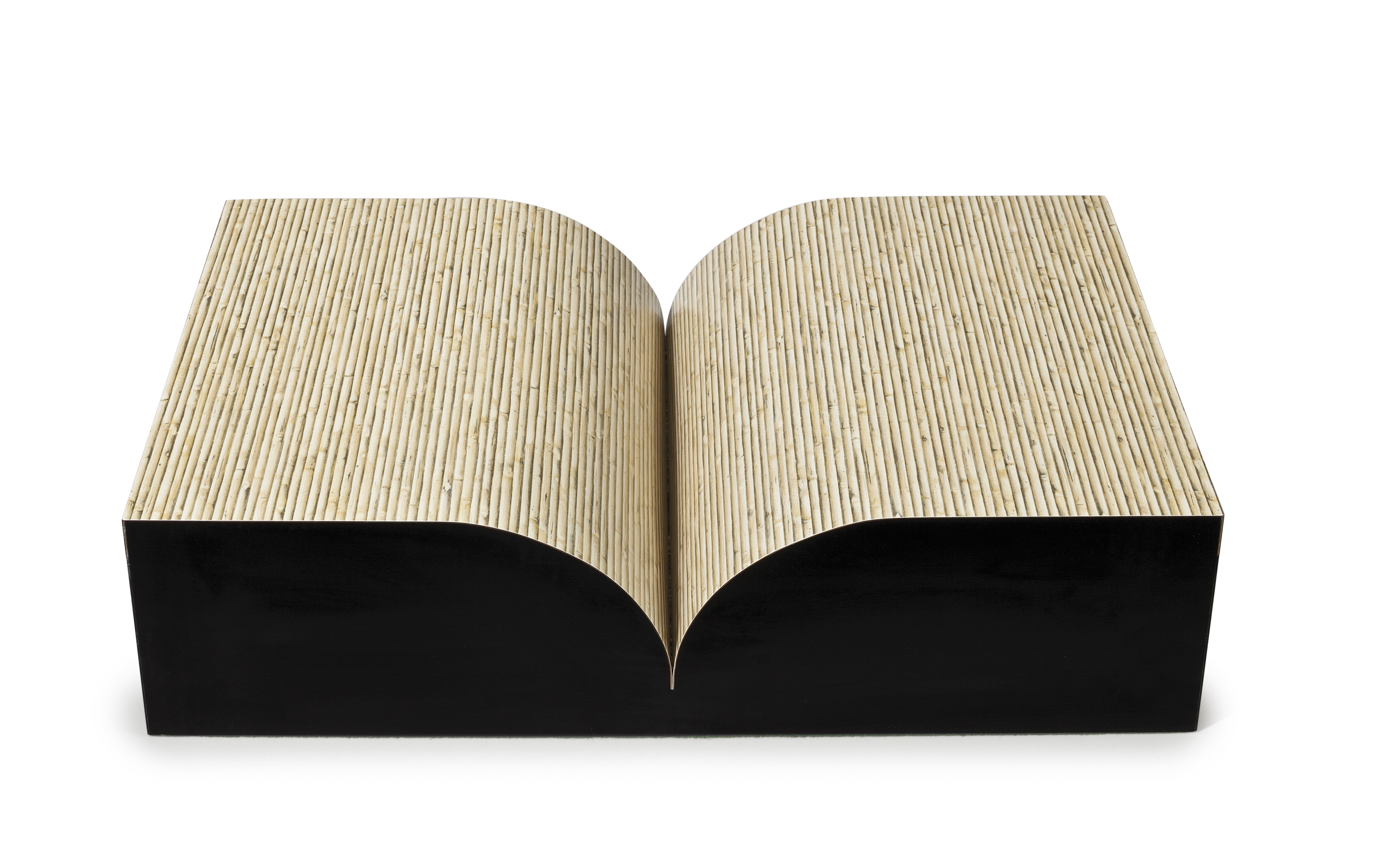 Richard Artschwager — Книга