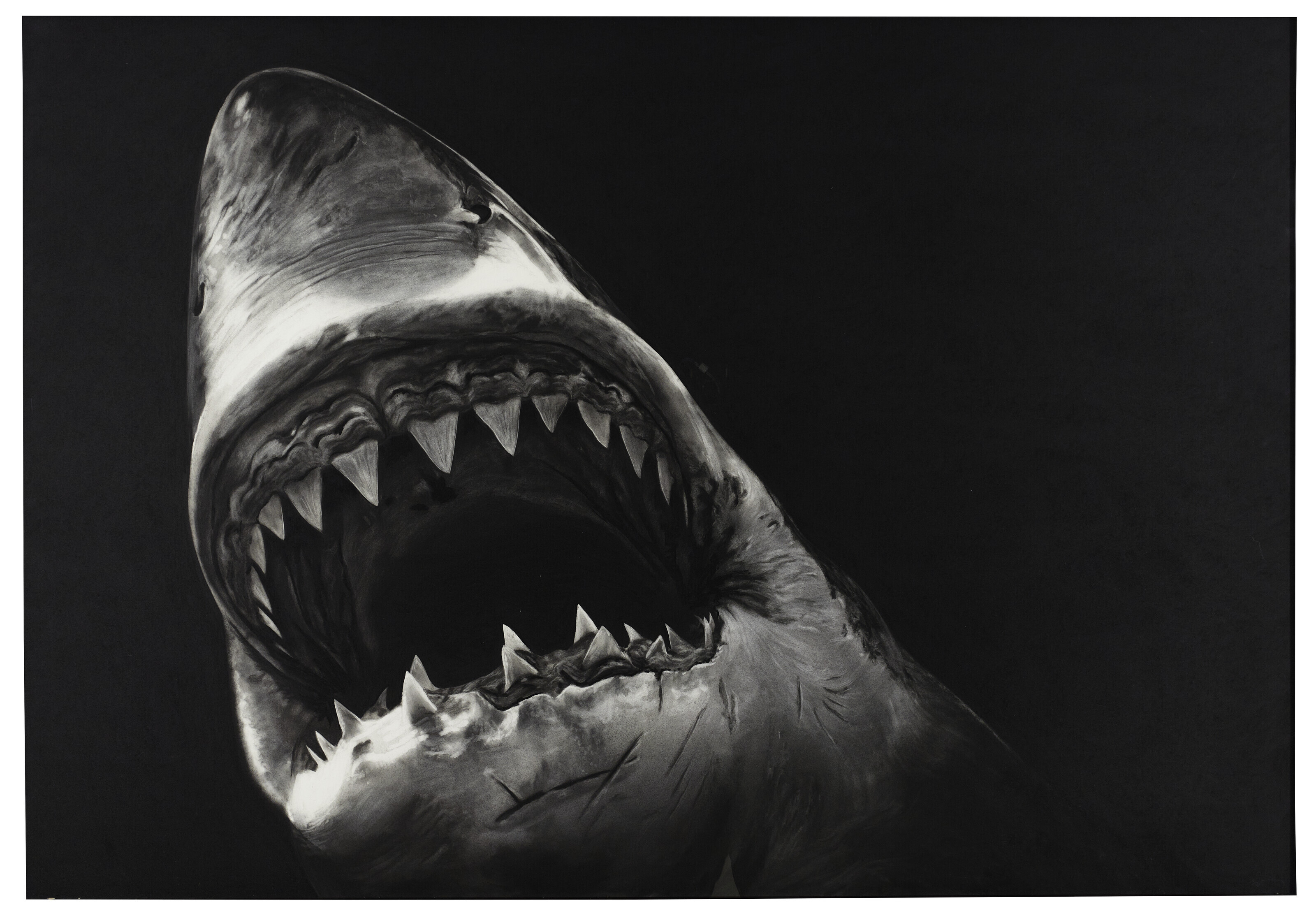 Robert Longo — Калигула, изображение 2