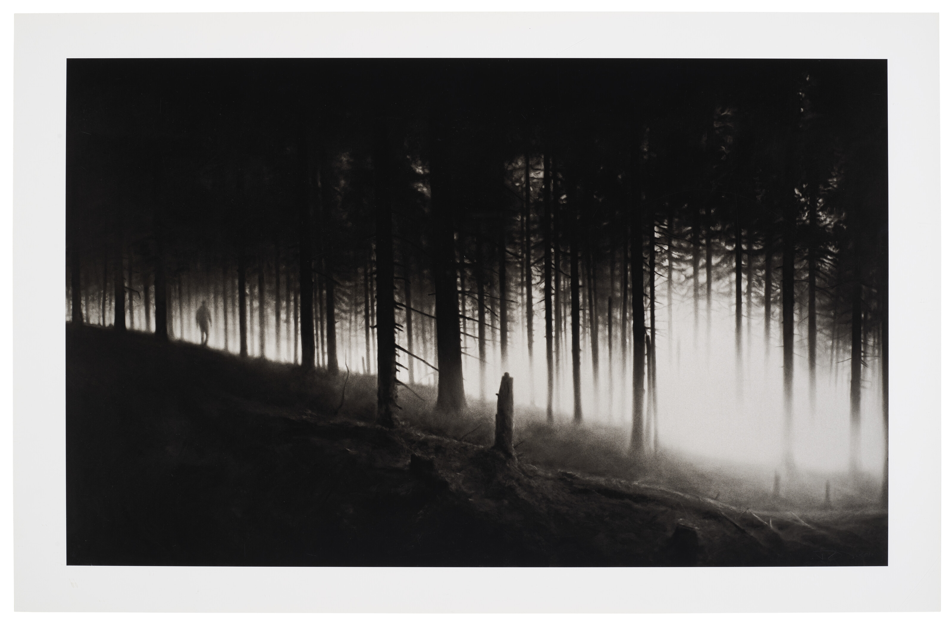 Robert Longo — Без названия (Et in Arcadia Ego)