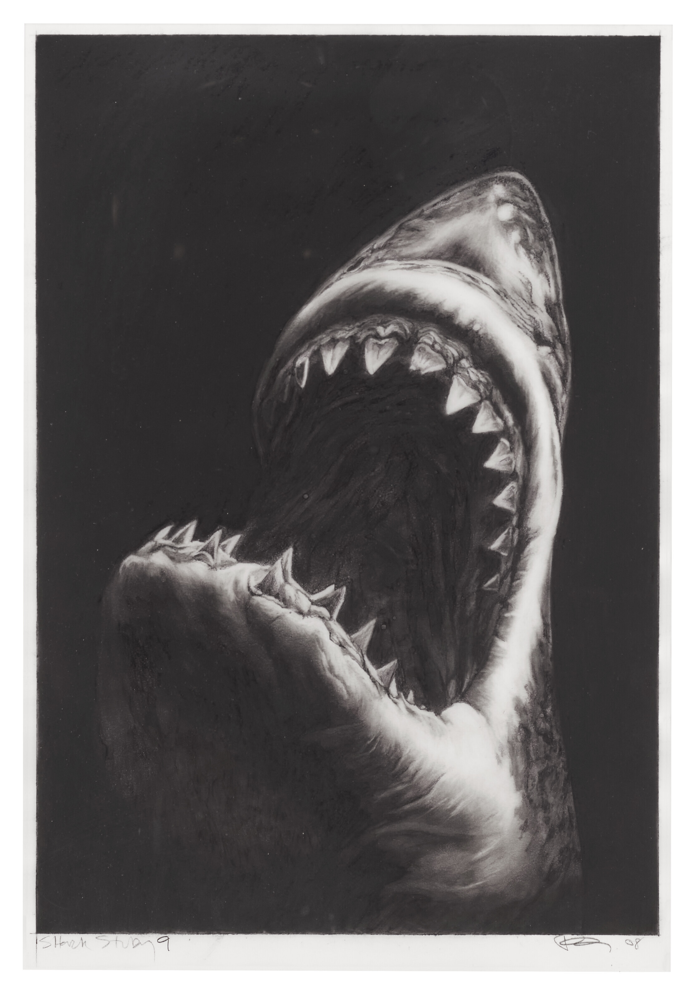 Robert Longo — Исследование акул 9