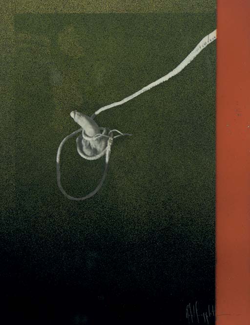 Robert Mapplethorpe — Без названия