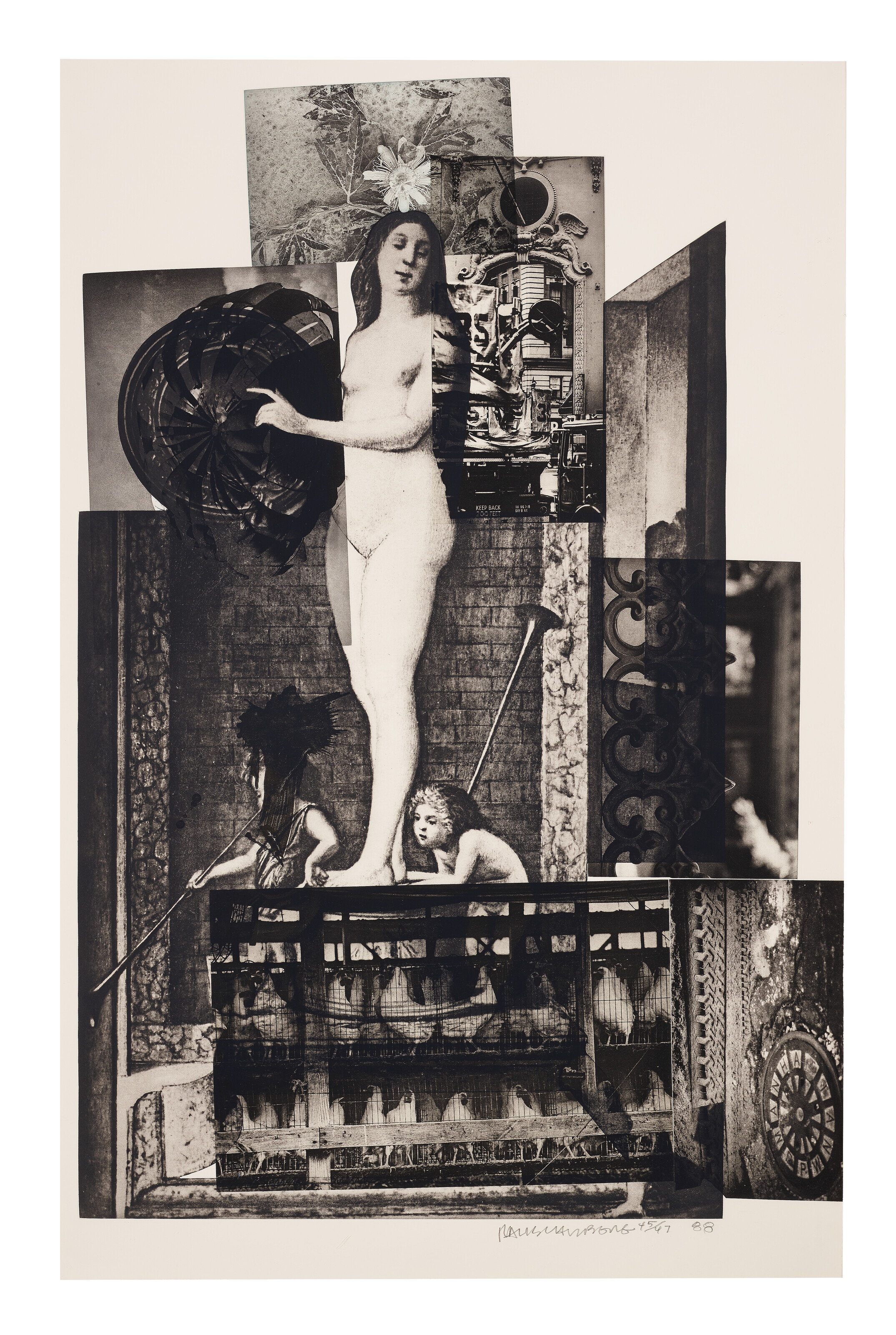 Robert Rauschenberg — Беллини №4