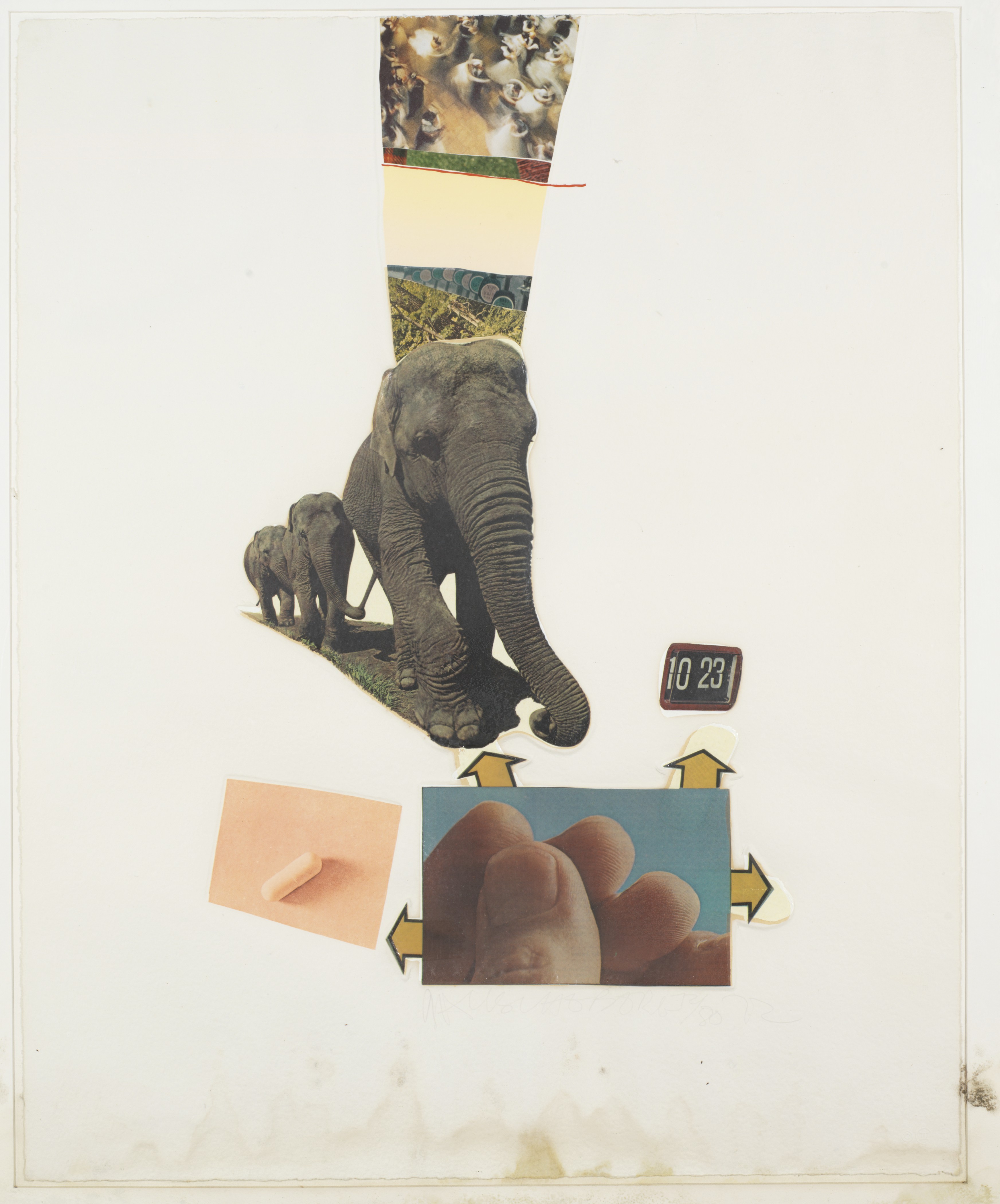 Robert Rauschenberg — Тринадцать серий конских перьев : шесть пластин, изображение 2