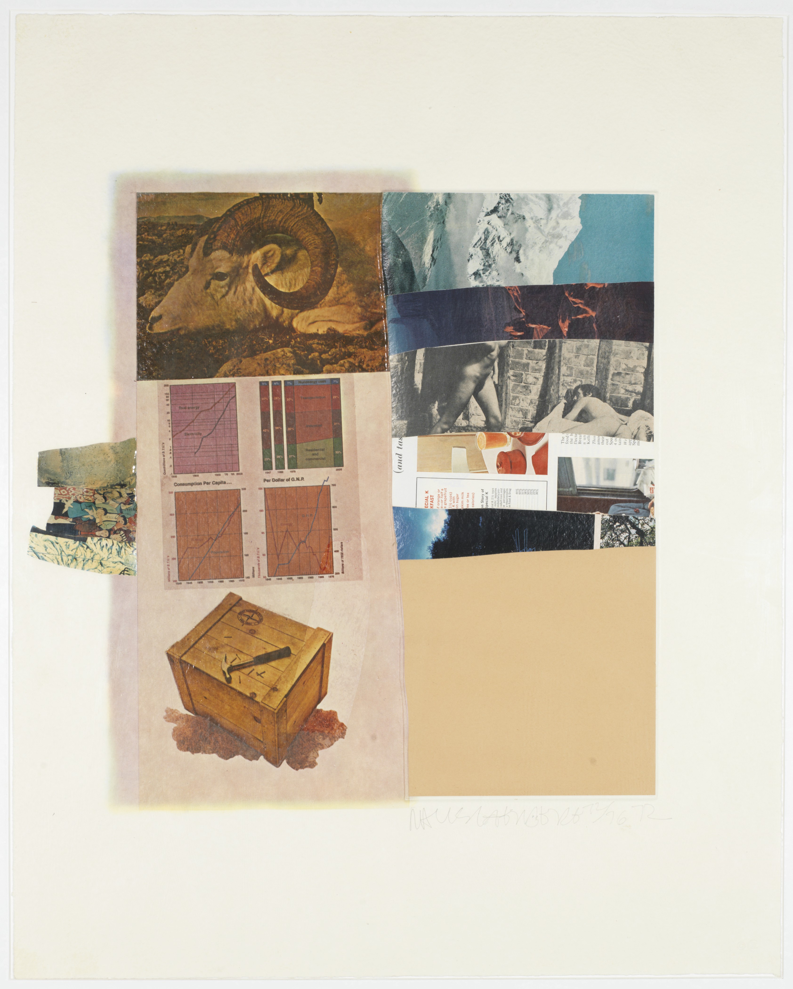 Robert Rauschenberg — Тринадцать серий конских перьев : шесть пластин, изображение 3