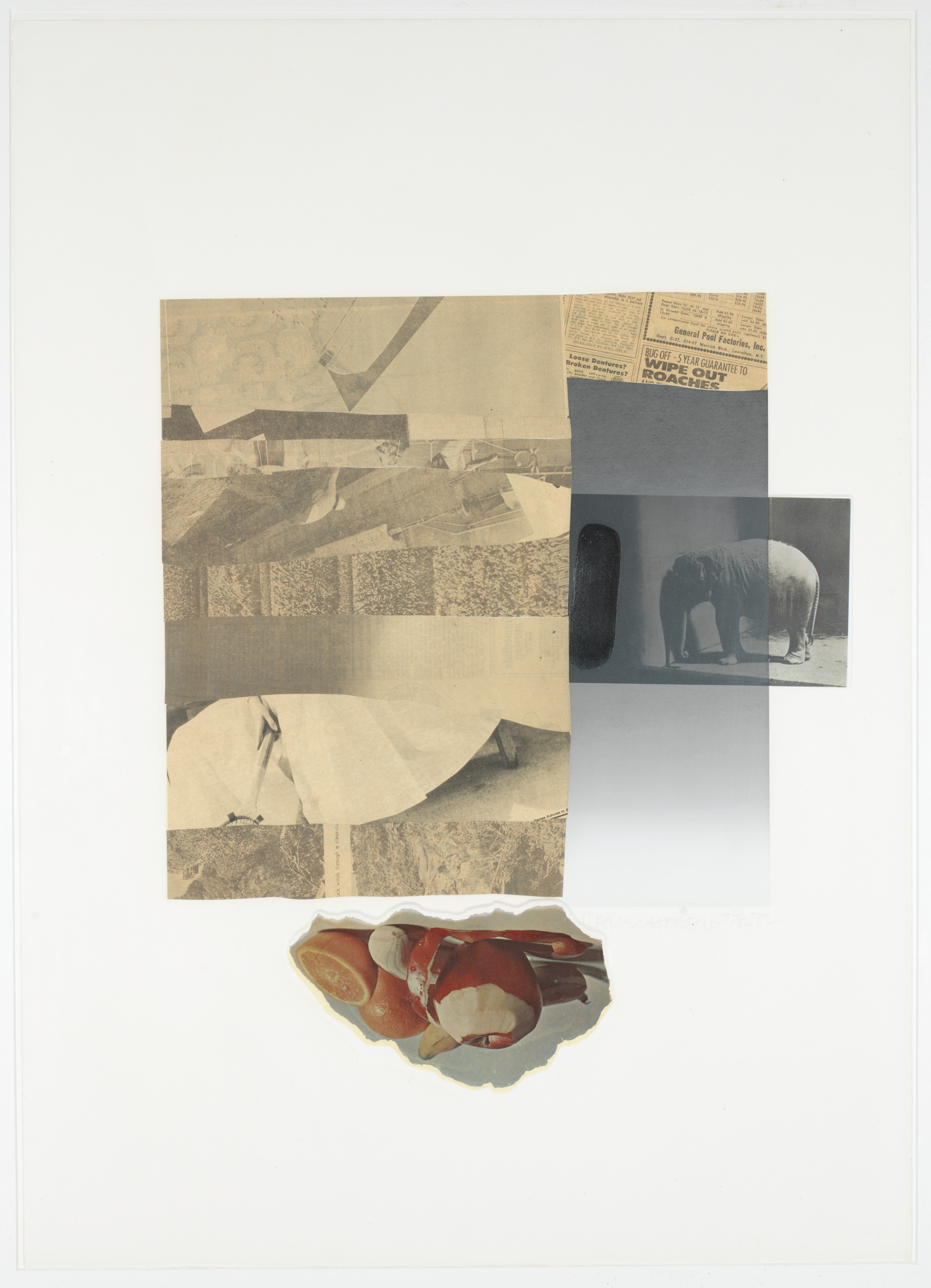 Robert Rauschenberg — Тринадцать серий конских перьев : шесть пластин, изображение 4