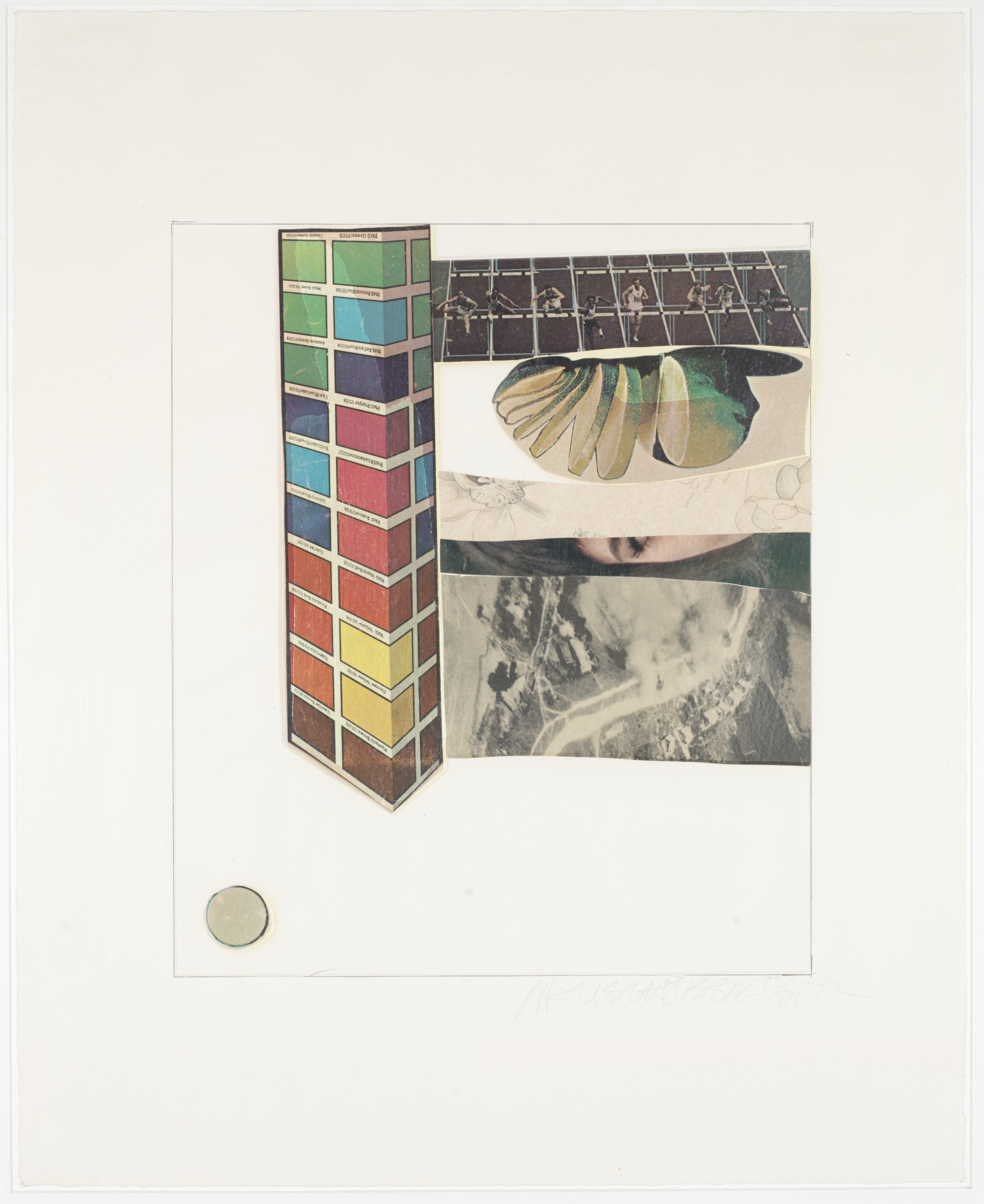 Robert Rauschenberg — Тринадцать серий конских перьев : шесть пластин, изображение 6