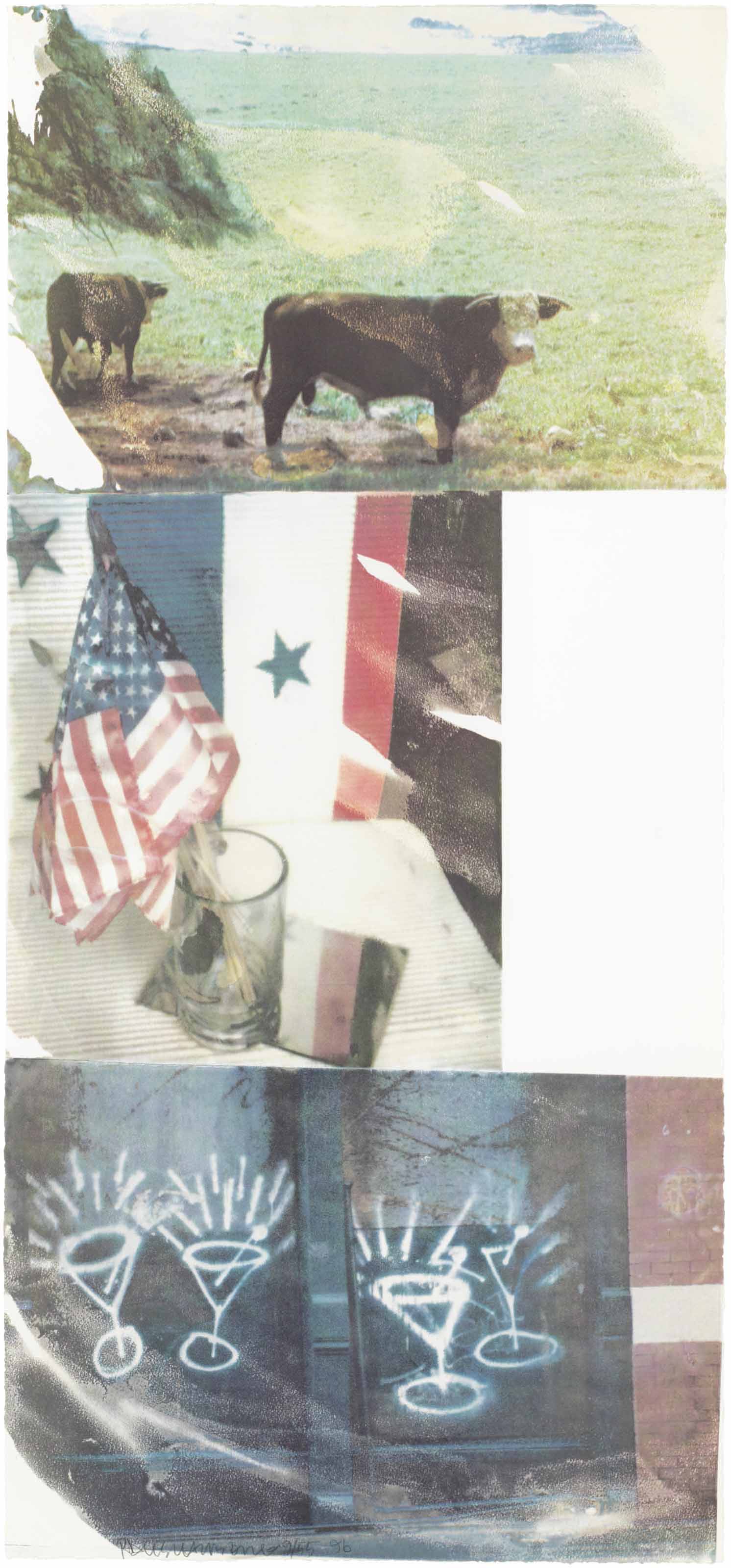 Robert Rauschenberg — Свидетель, исходя из предположений