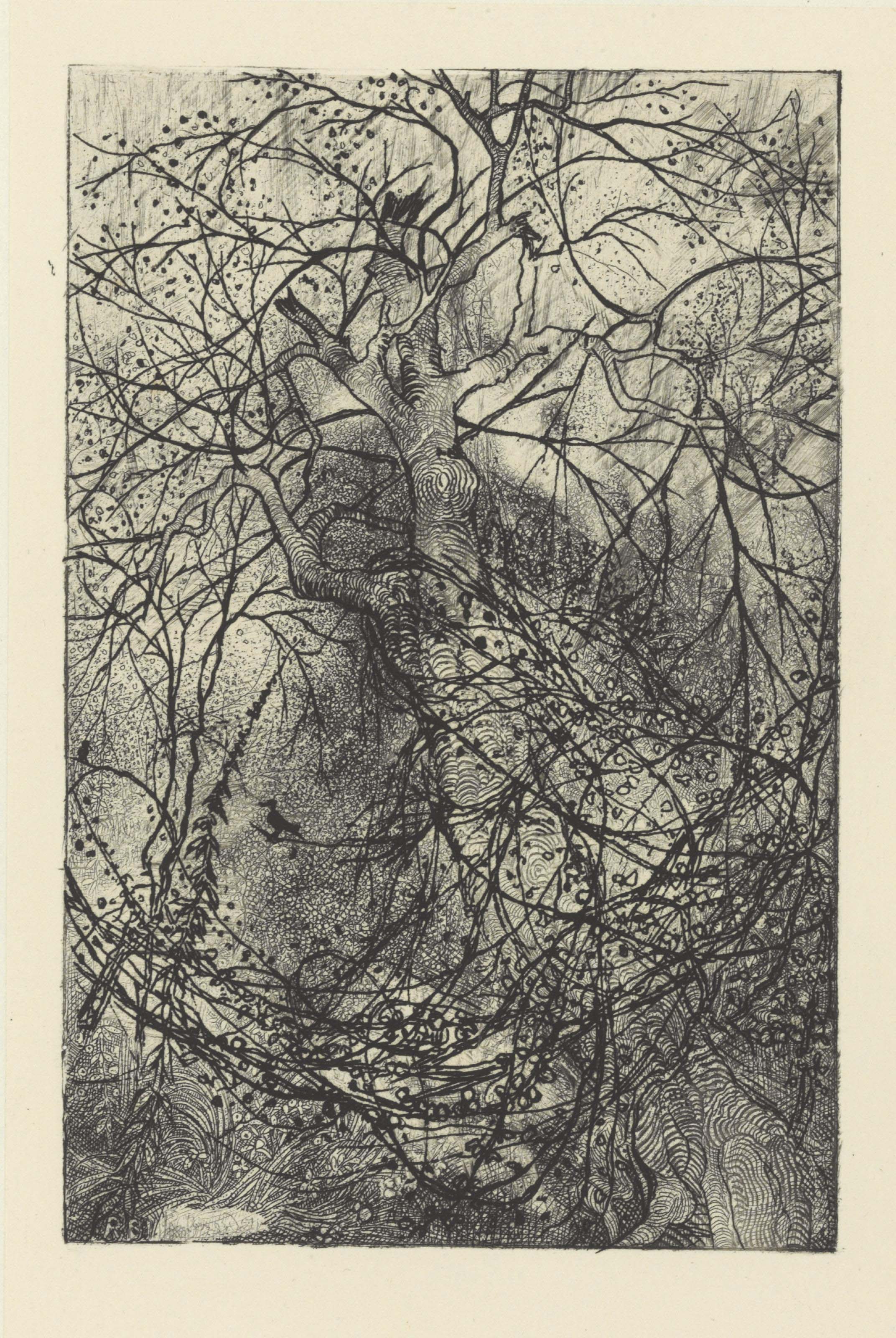 Rodolphe Bresdin — Ответвления