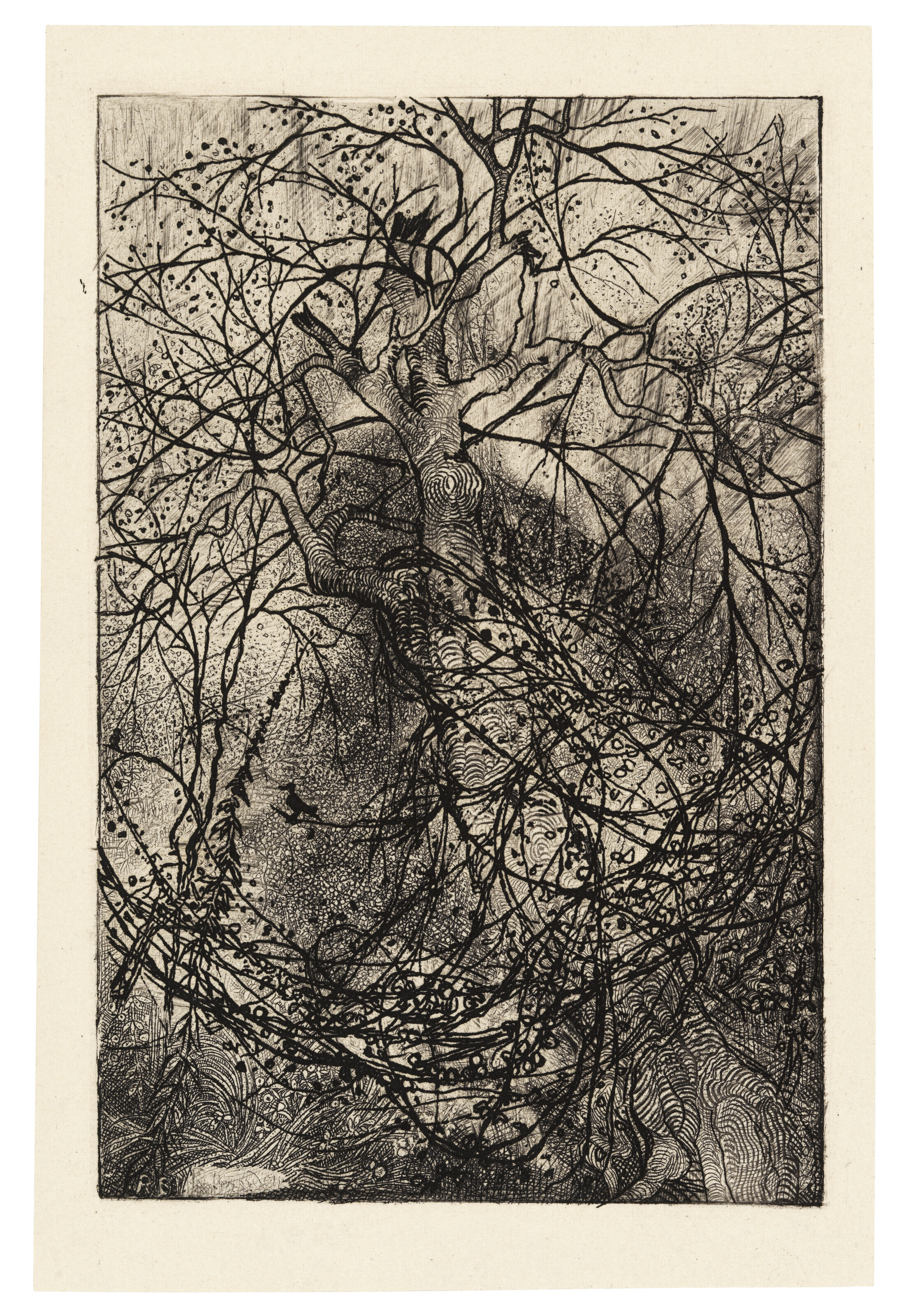 Rodolphe Bresdin — Мир и смерть, изображение 2