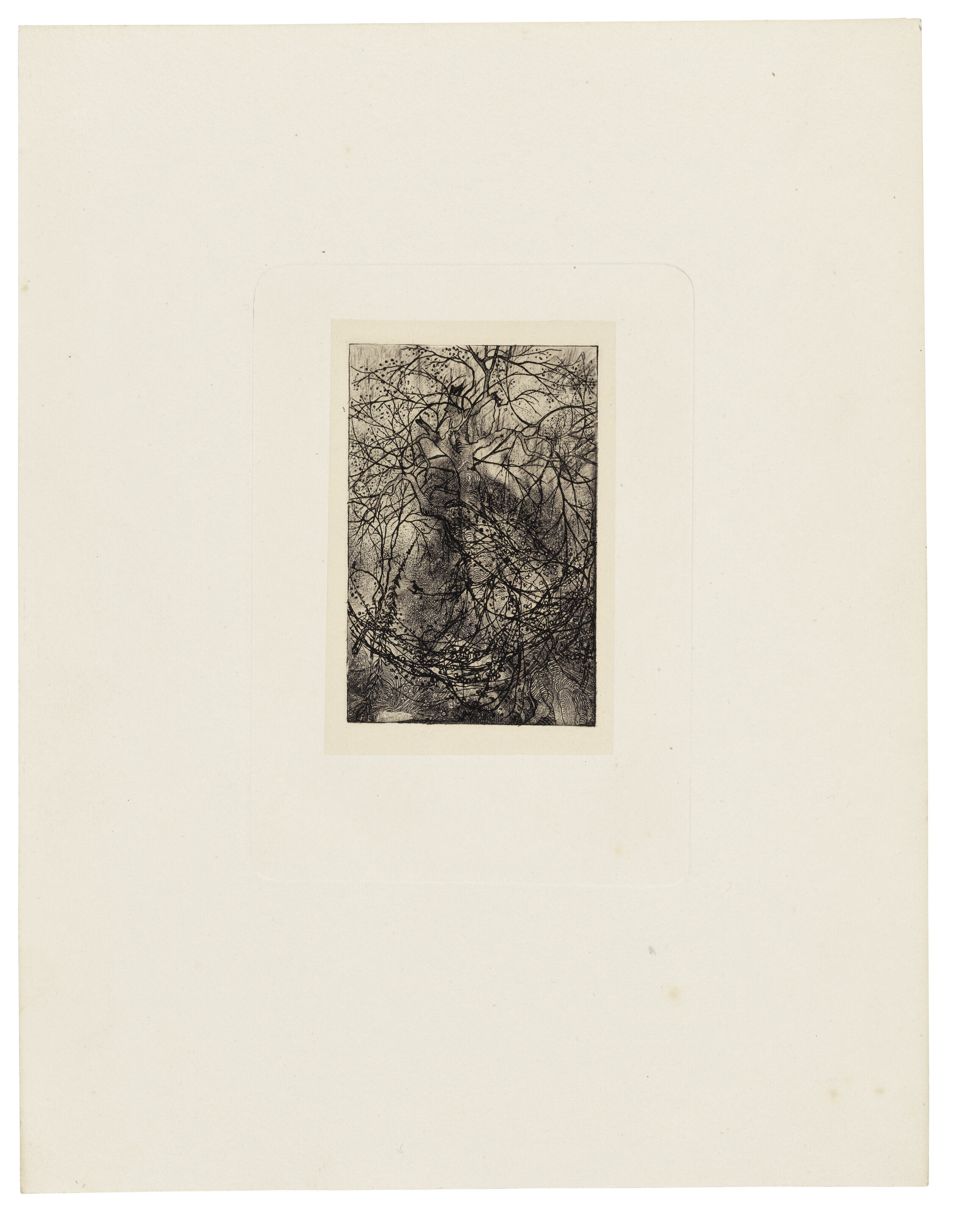 Rodolphe Bresdin — Мир и смерть, изображение 3