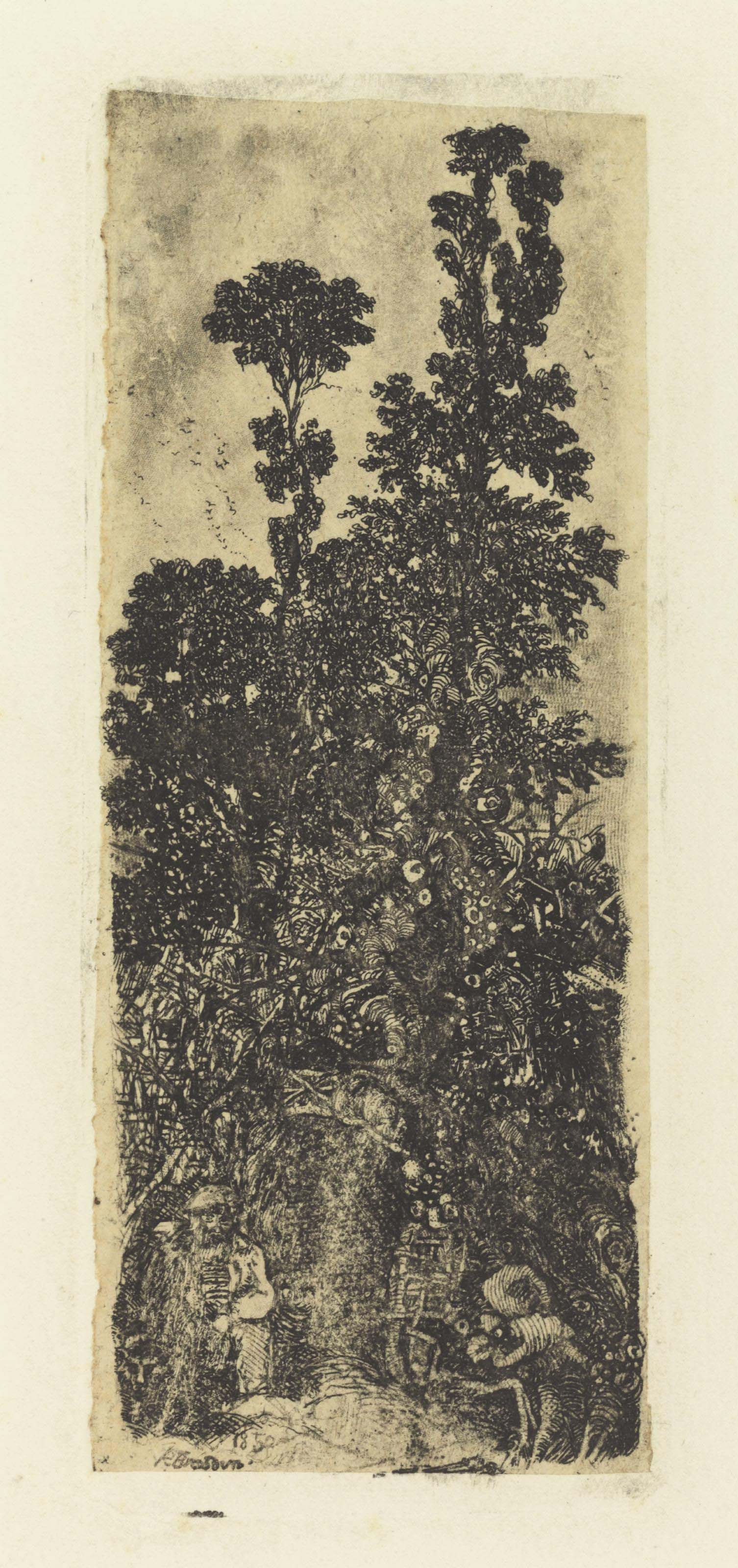 Rodolphe Bresdin — Уединенные деревья