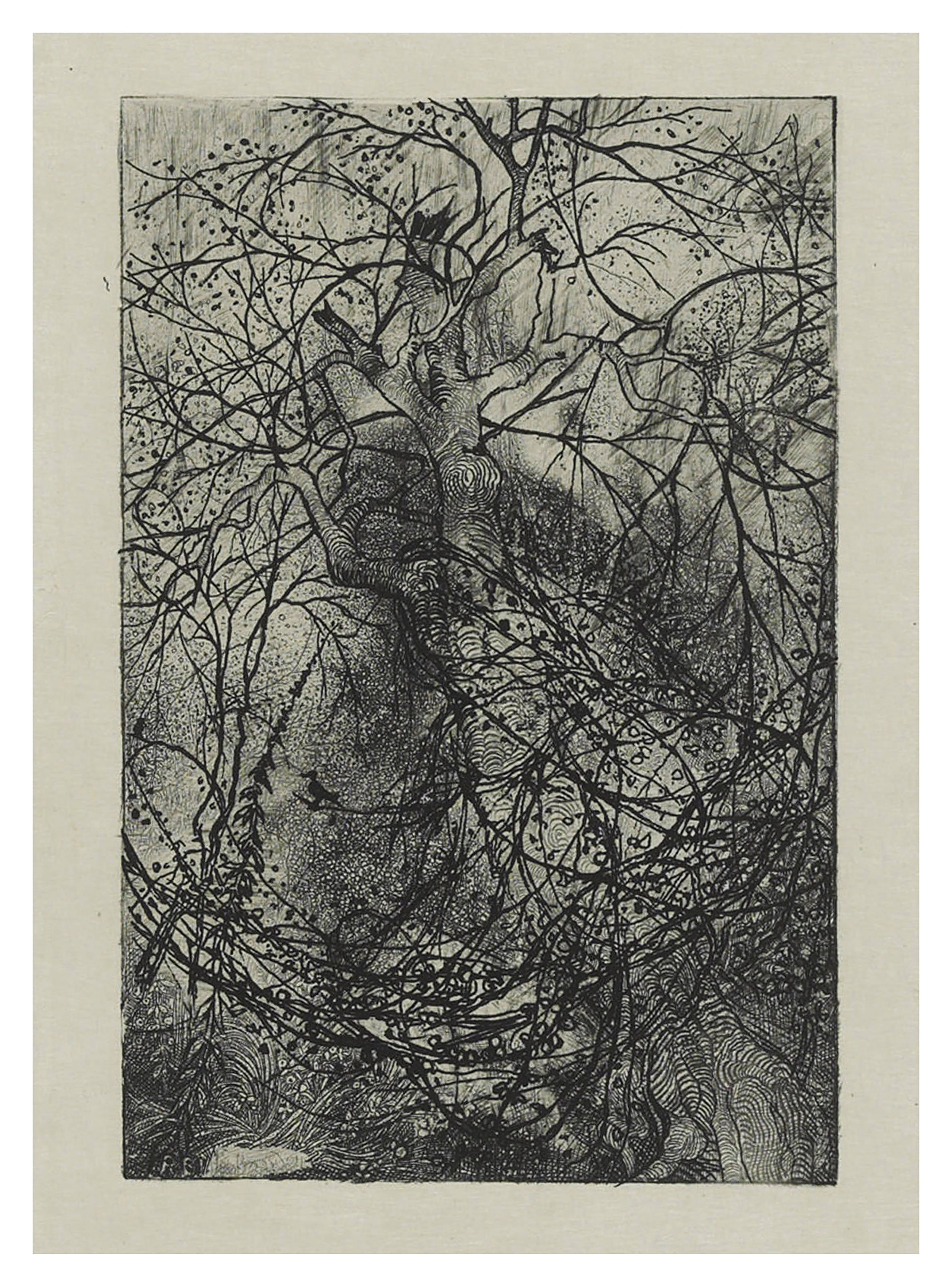 Rodolphe Bresdin — Ответвления