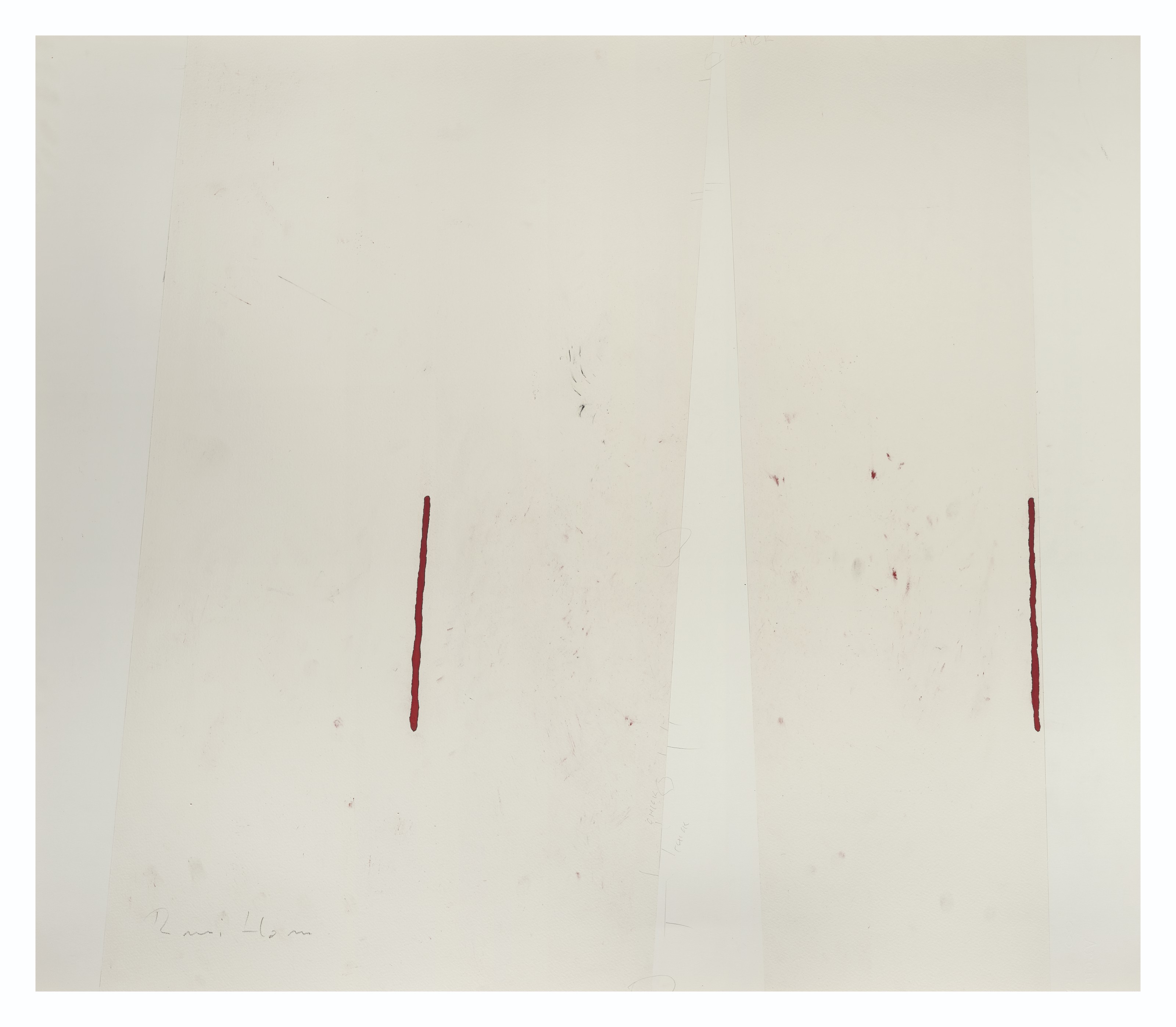 Roni Horn — Без названия