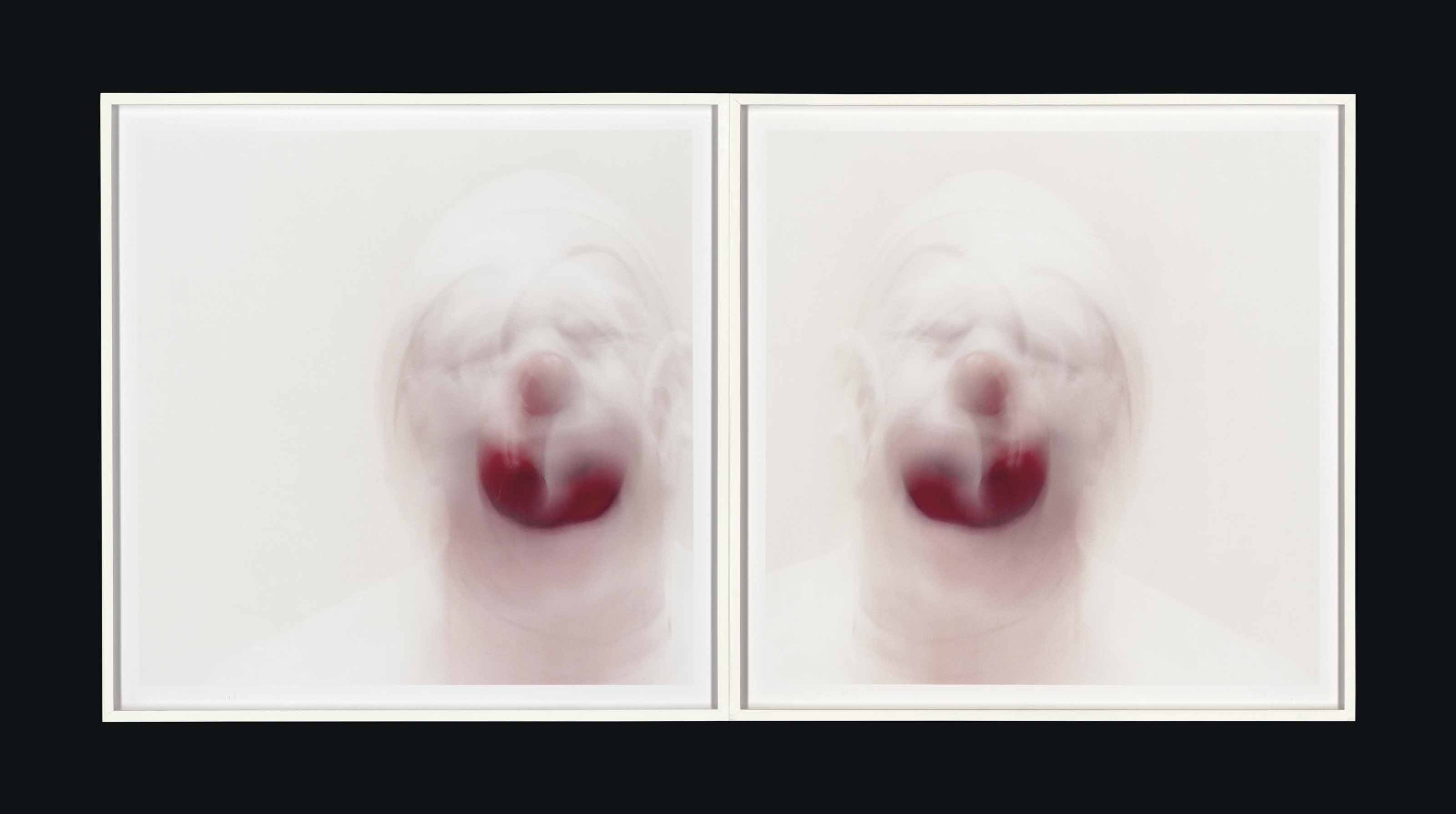 Roni Horn — Клоунское зеркало (9)