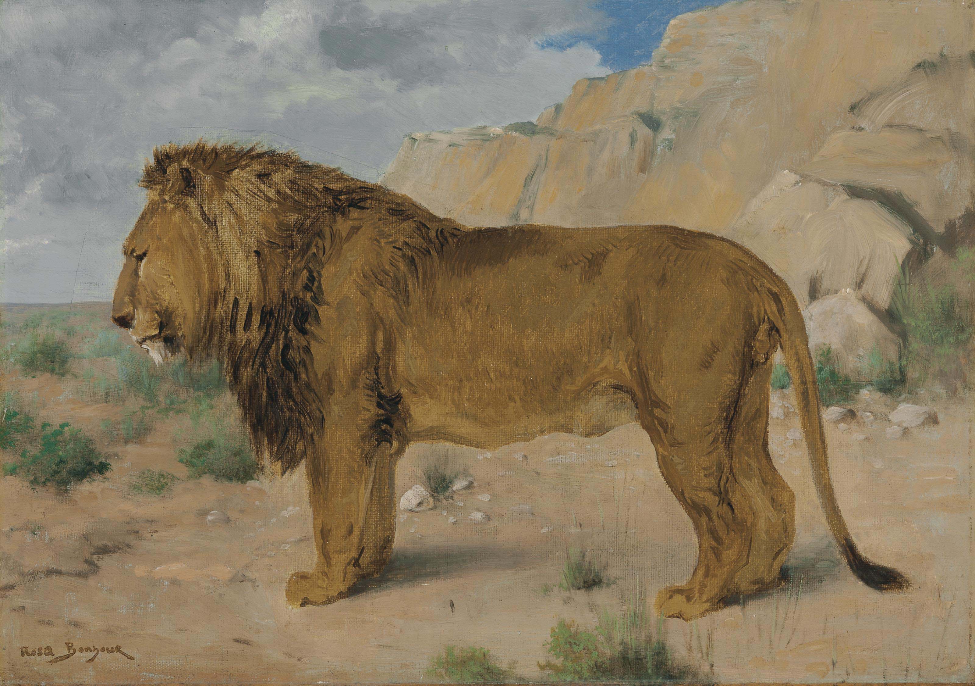 Rosa Bonheur — Исследование льва