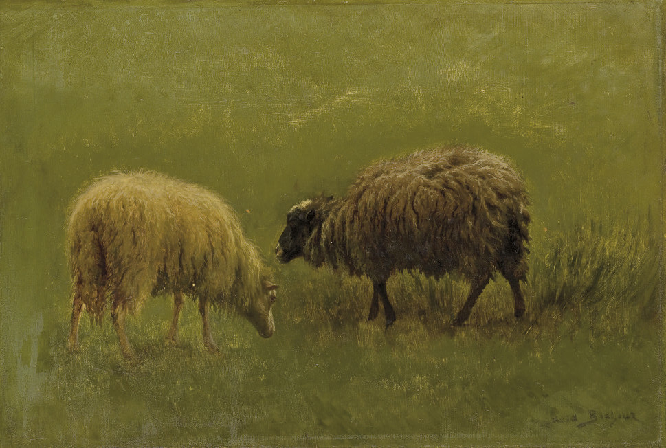 Rosa Bonheur — Этюд из мутонов