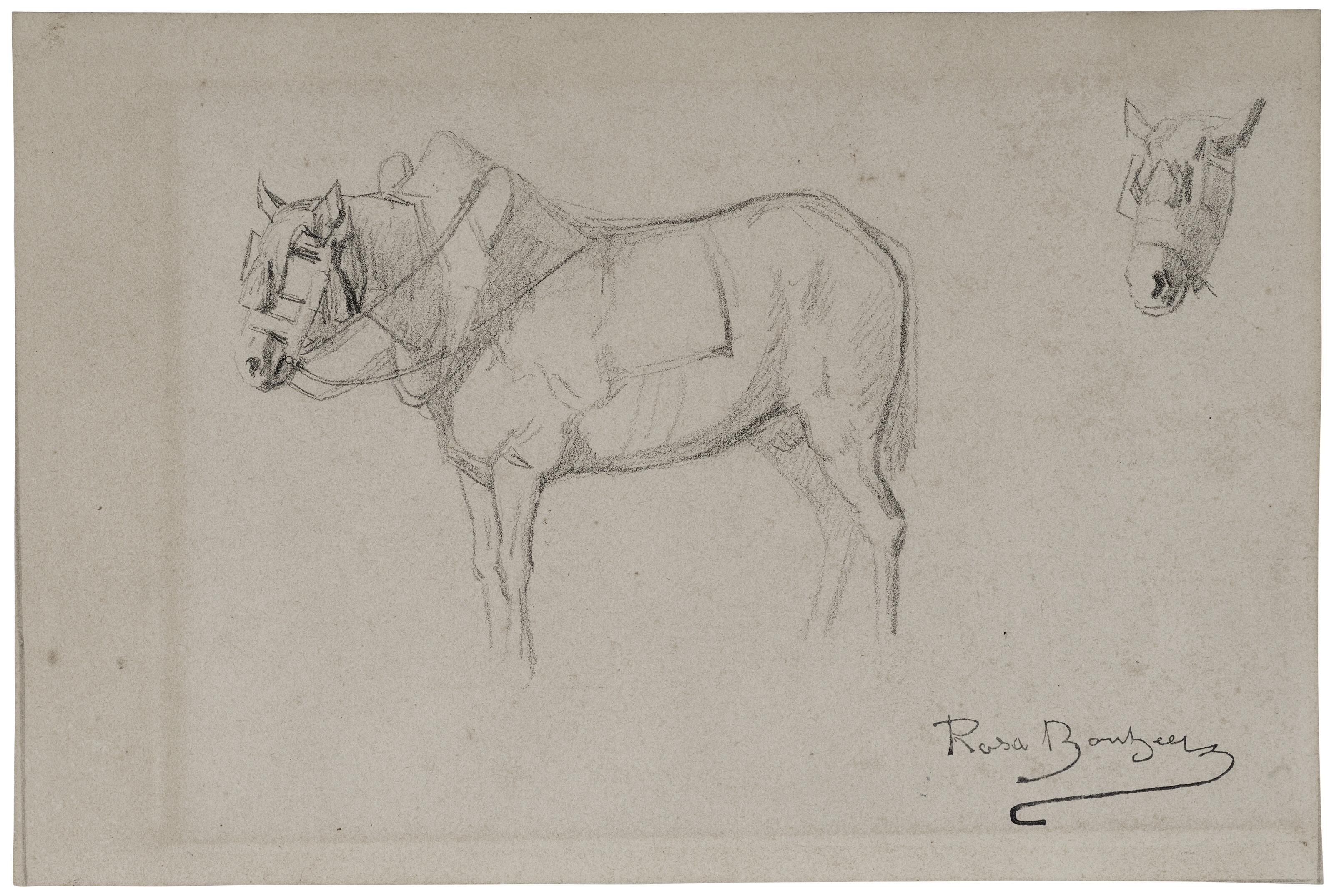 Rosa Bonheur — Этюды лошади и конской головы (справа); Набросок скачущей лошади со всадником (сзади)