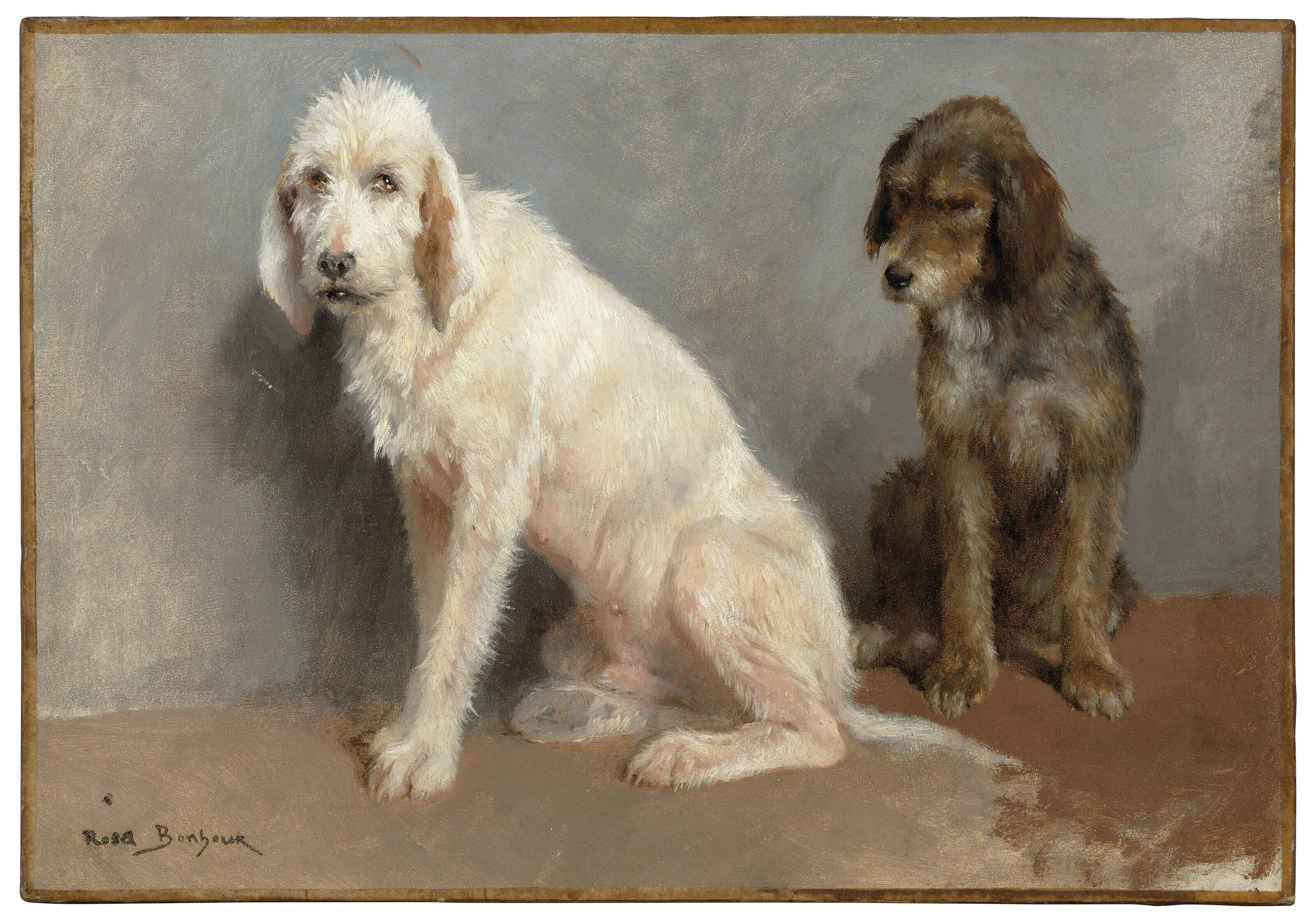 Rosa Bonheur — Исследование двух собак, изображение 2