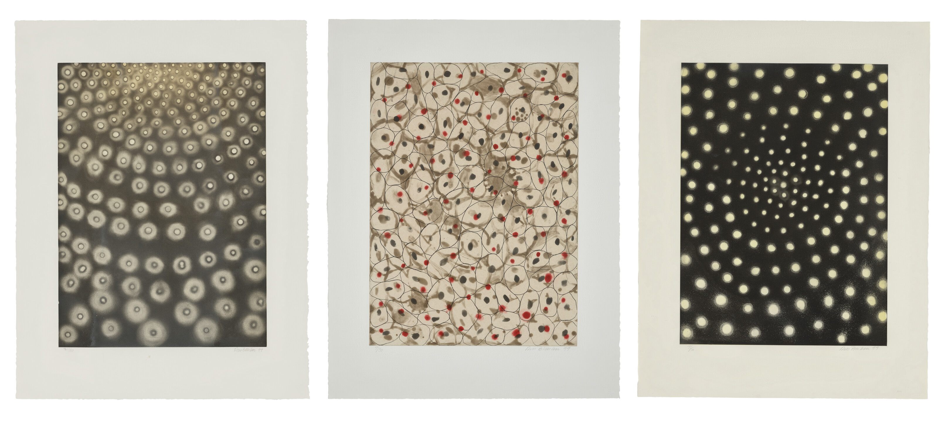 Ross Bleckner — Три гравюры художника