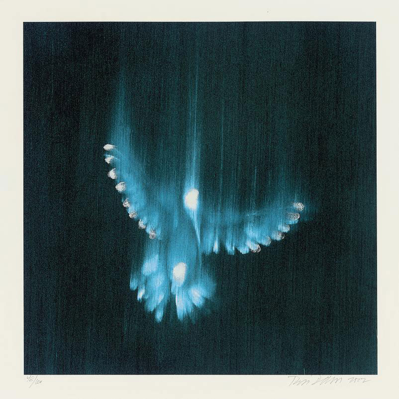 Ross Bleckner — Падающие птицы, которых я