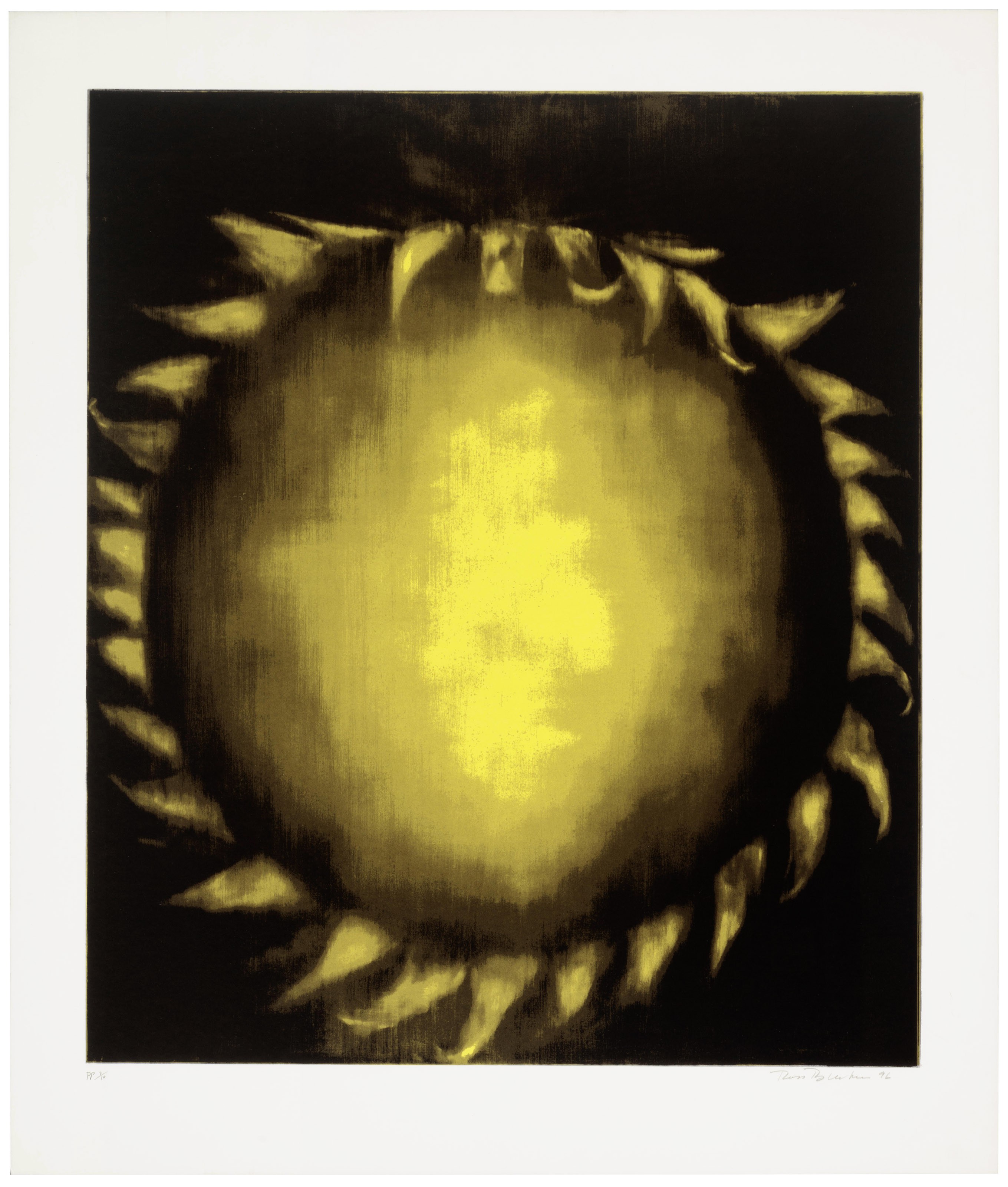 Ross Bleckner — Надежда на СПИД