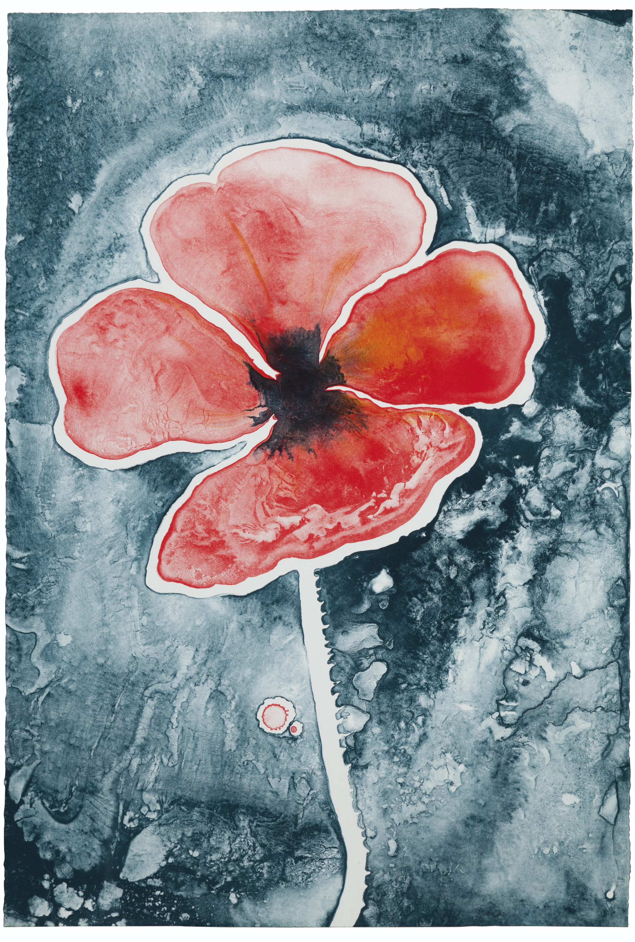 Ruth Asawa — Мак