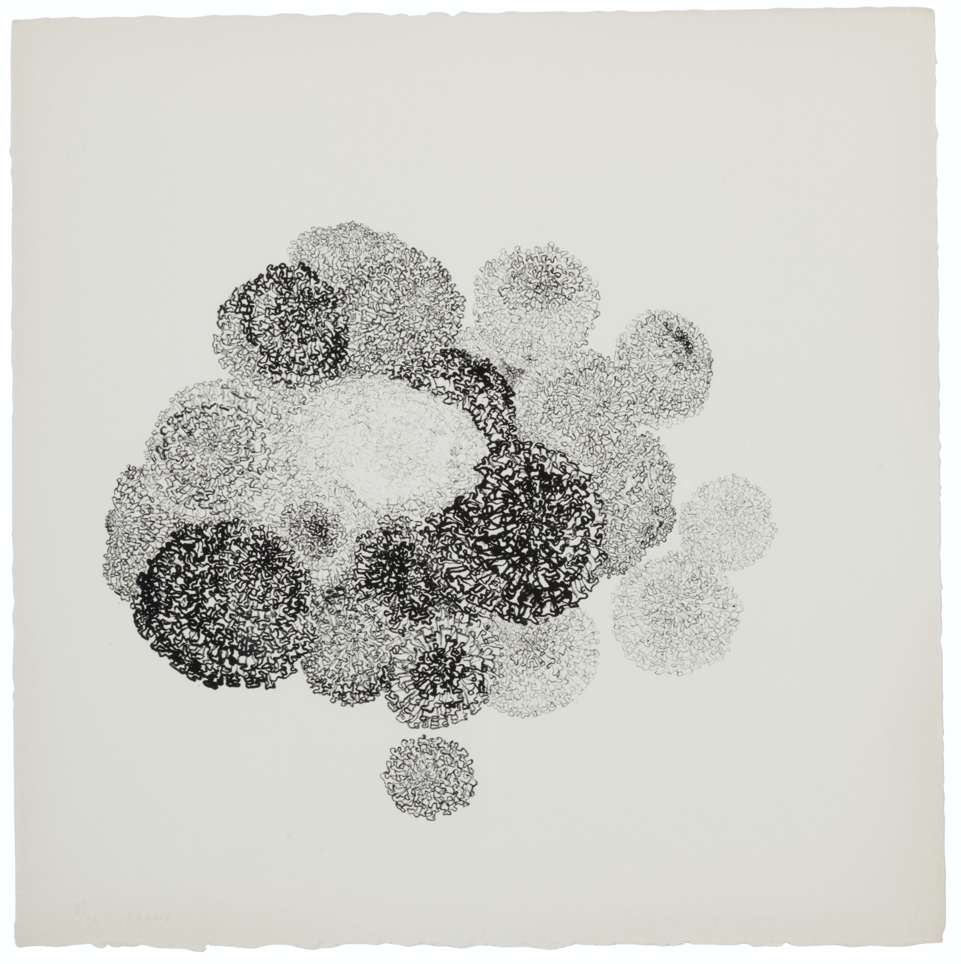 Ruth Asawa — Без названия (Цветы VII)