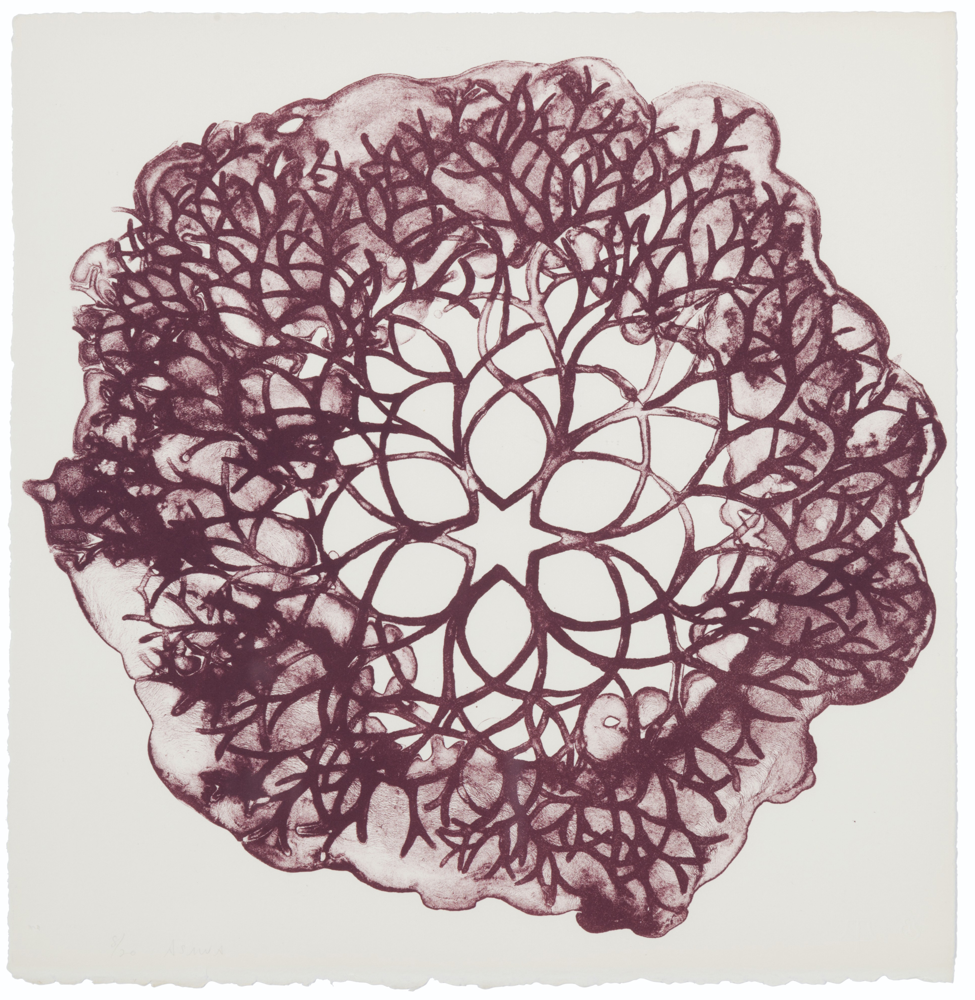 Ruth Asawa — Без названия (Цветы IX)