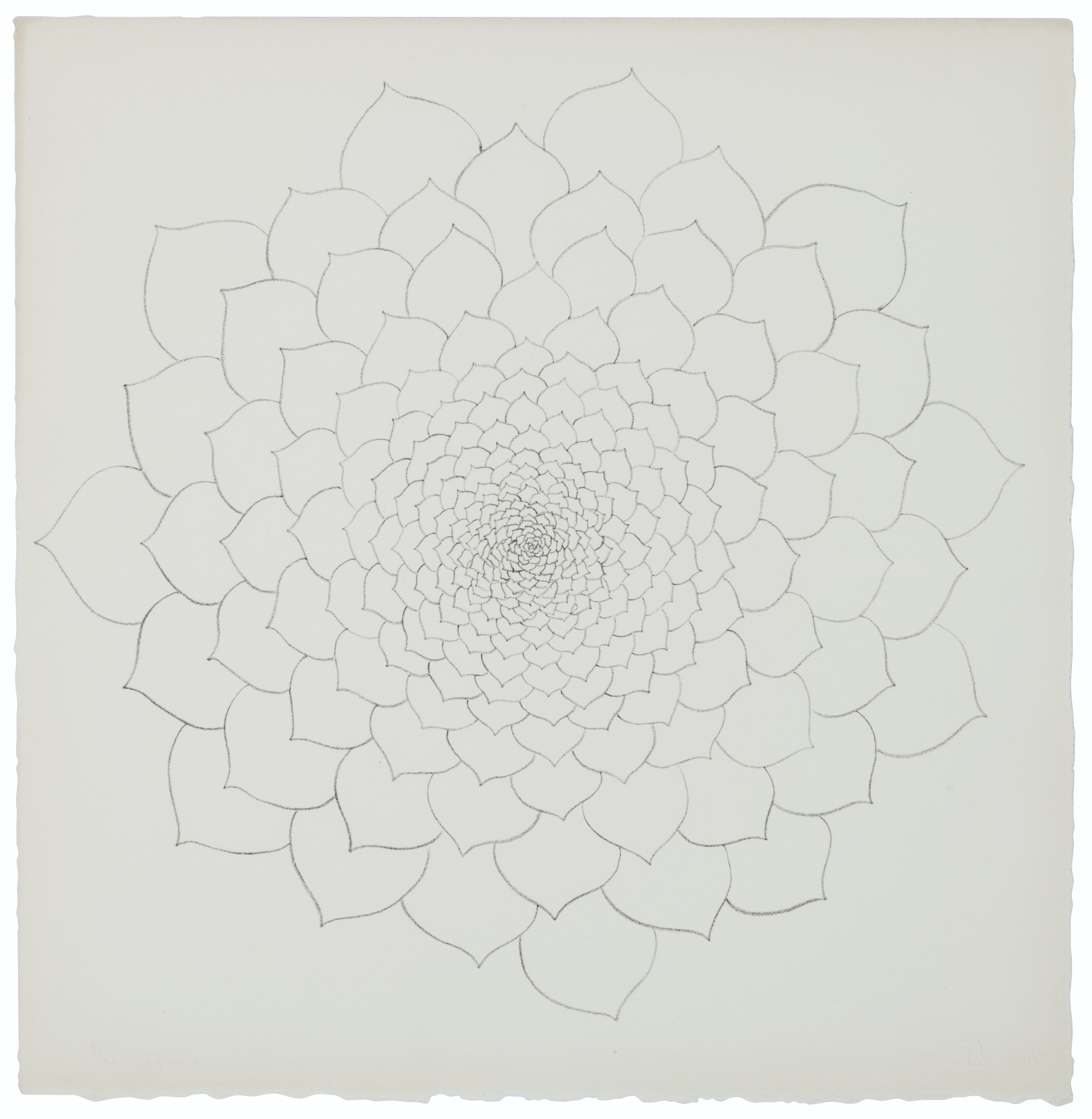 Ruth Asawa — Без названия (Цветы III)