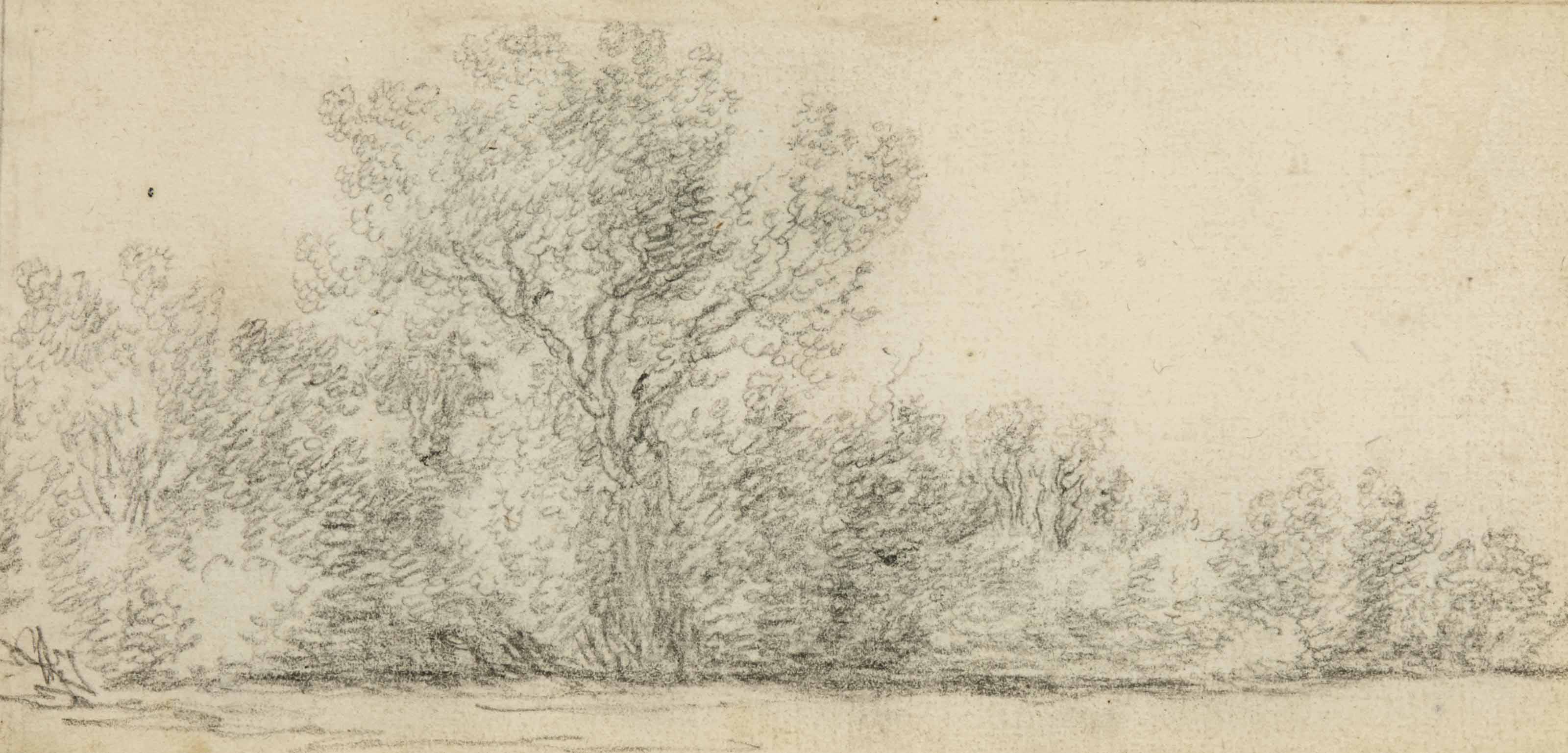Salomon Van Ruysdael — Деревья на границе юной ривьеры