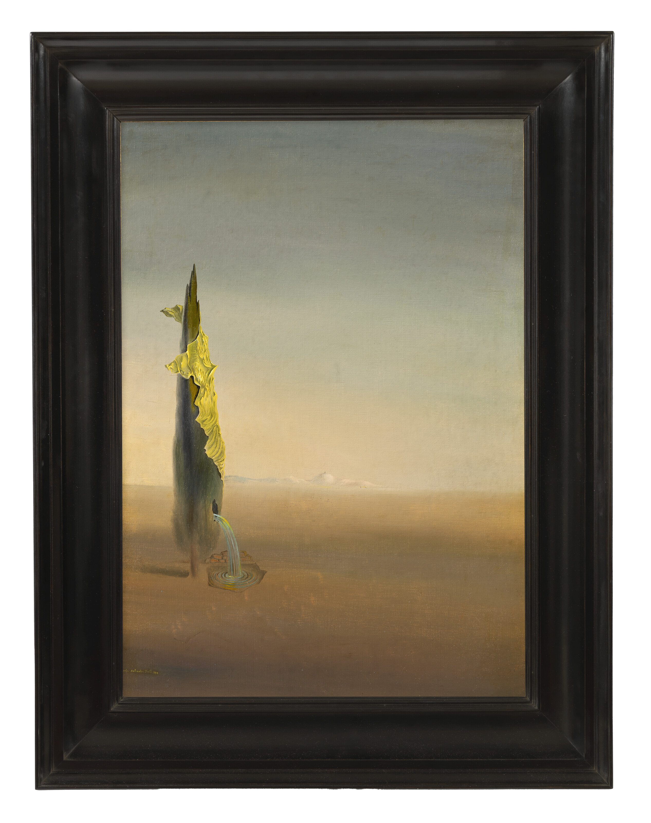 Salvador Dalí — Рождение жидкой тоски (Naissance des angoisses liquides), изображение 2