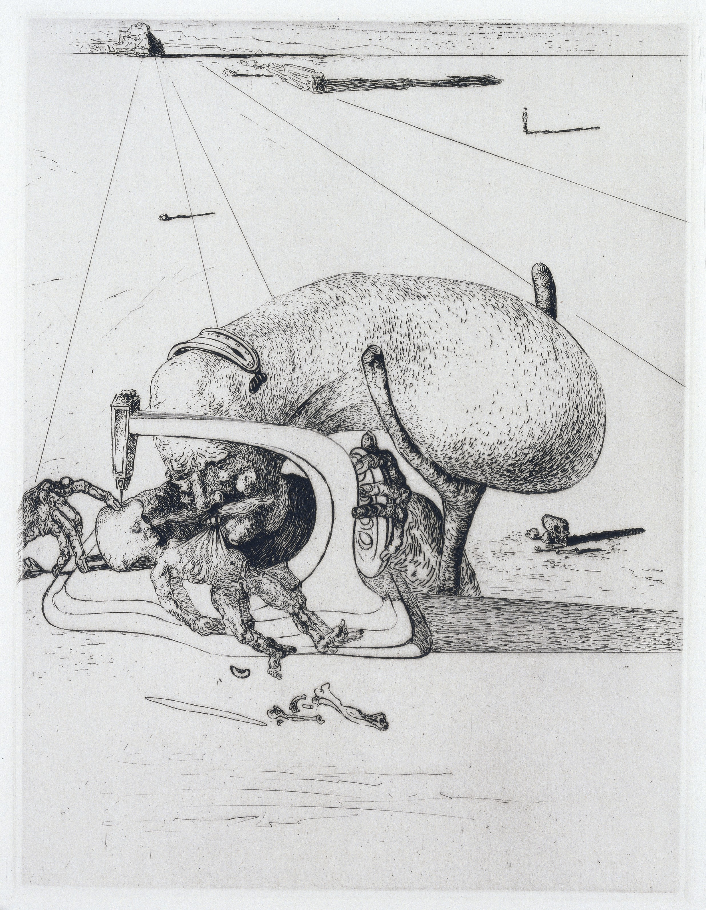 Salvador Dalí — Лотреамон, "Песни Мальдорора", Альбер Скира, Париж, 1934, изображение 5