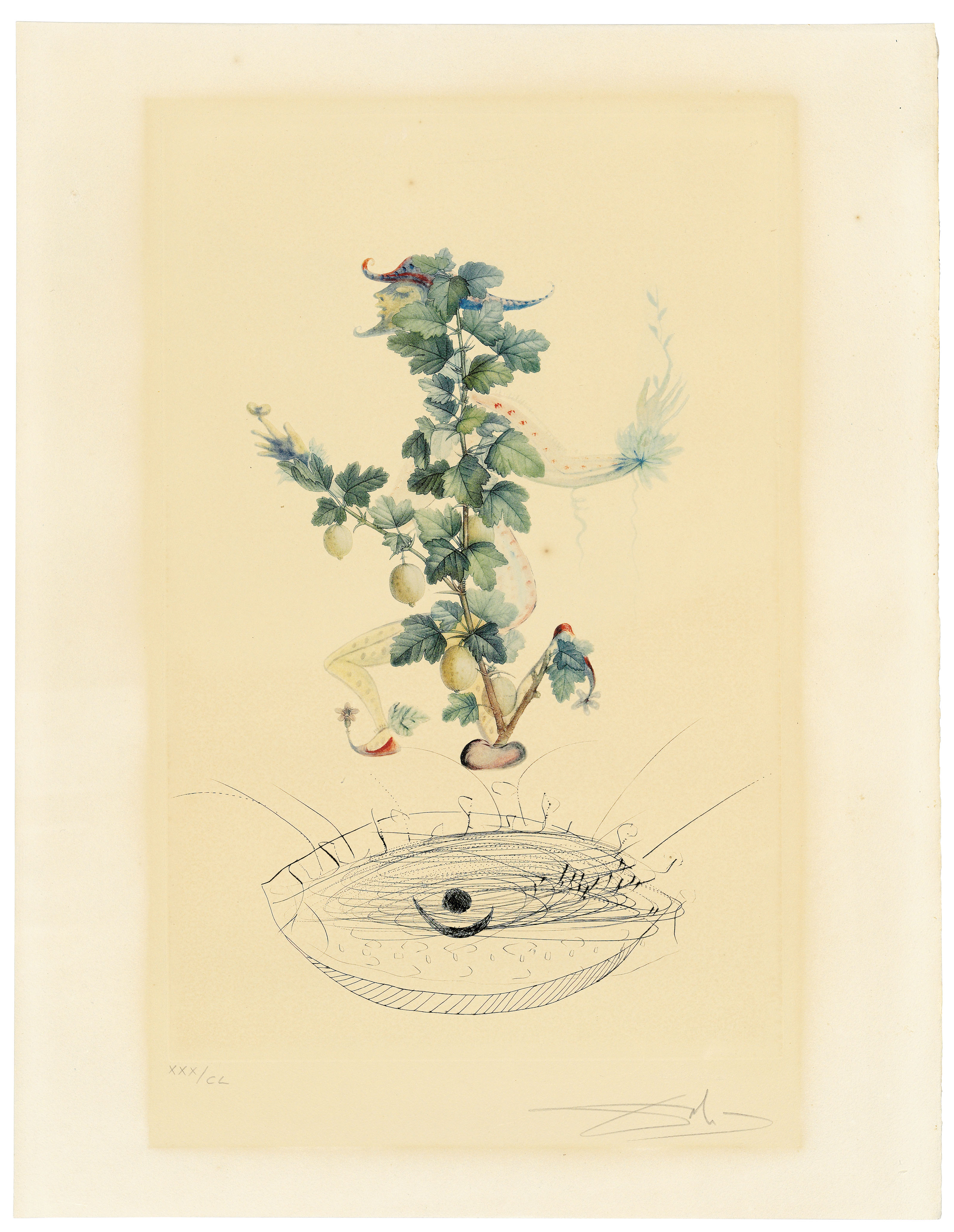 Salvador Dalí — Флордали (Лес фруктов), изображение 11