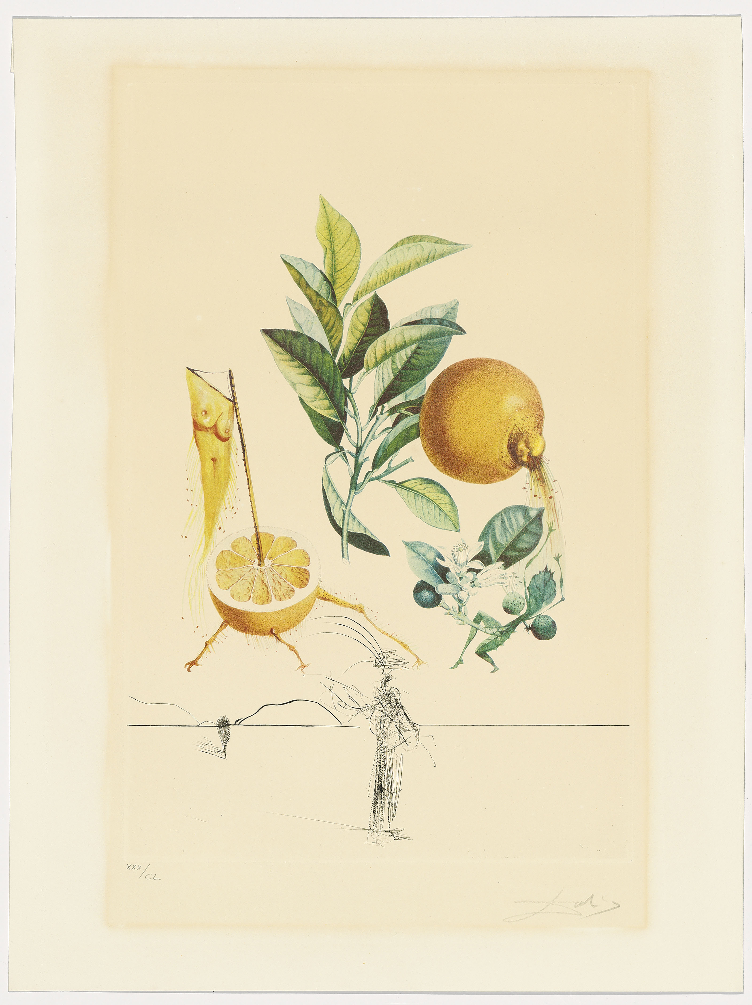 Salvador Dalí — Флордали (Лес фруктов), изображение 12