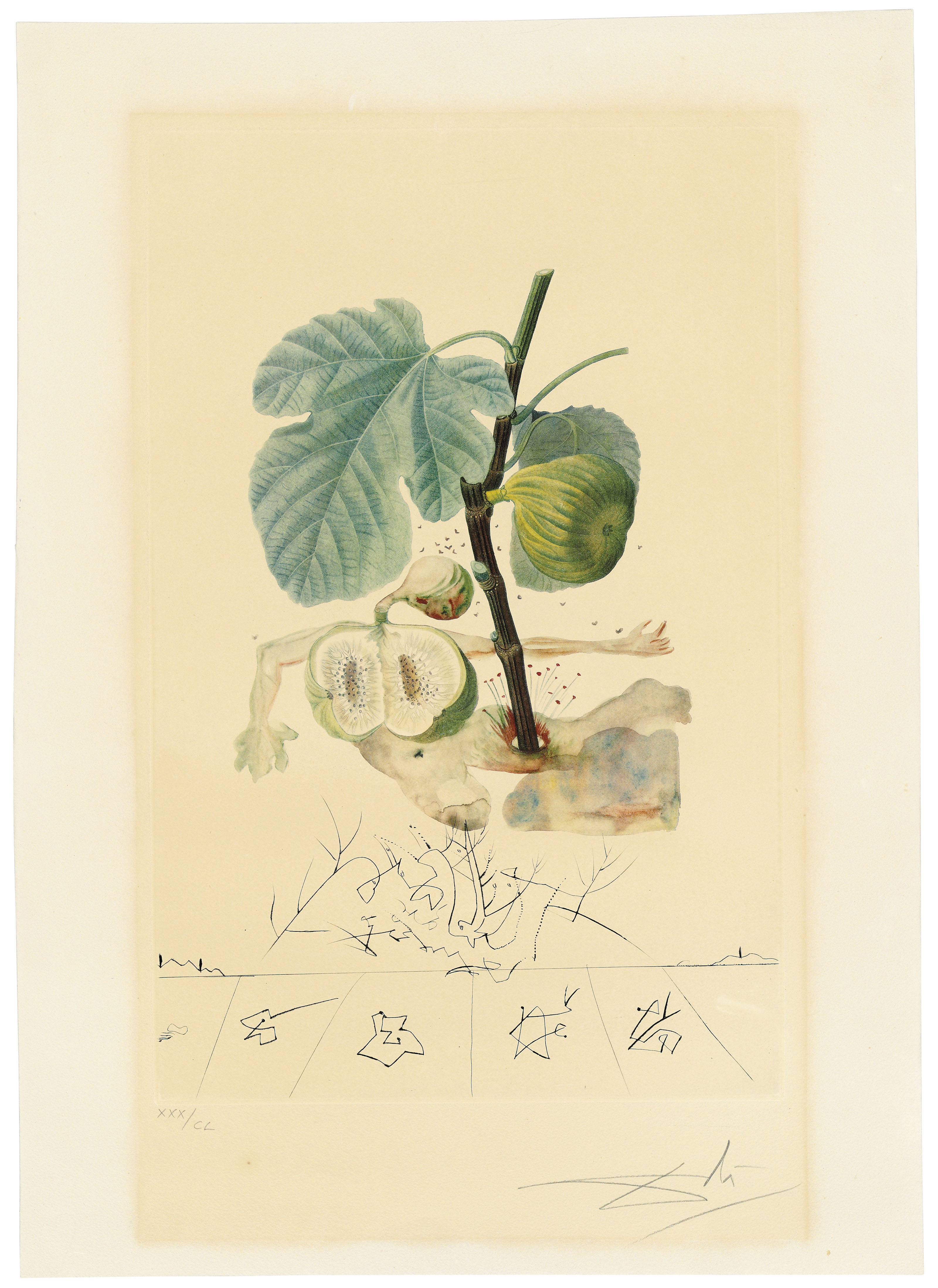 Salvador Dalí — Флордали (Лес фруктов), изображение 5