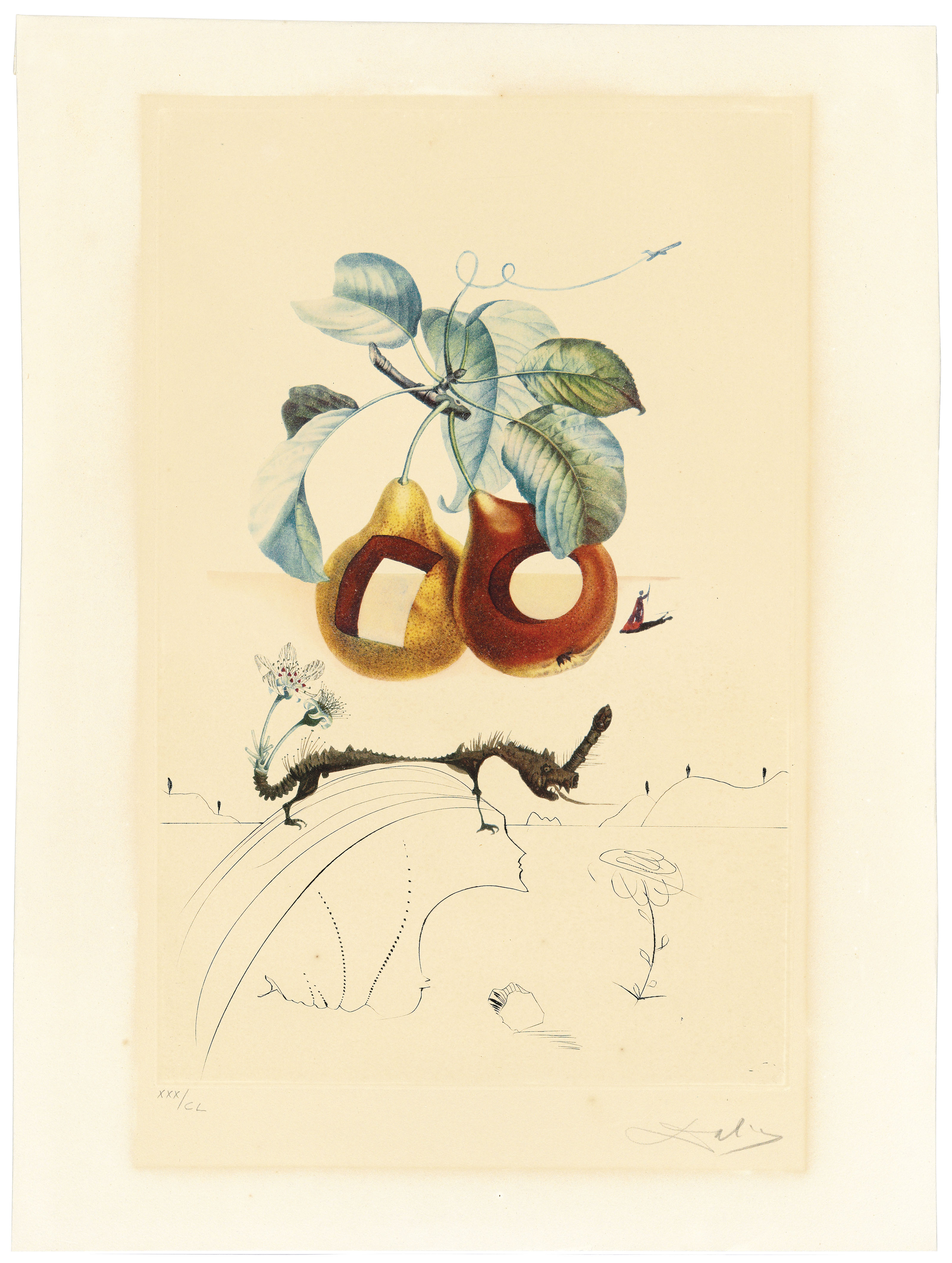 Salvador Dalí — Флордали (Лес фруктов), изображение 7