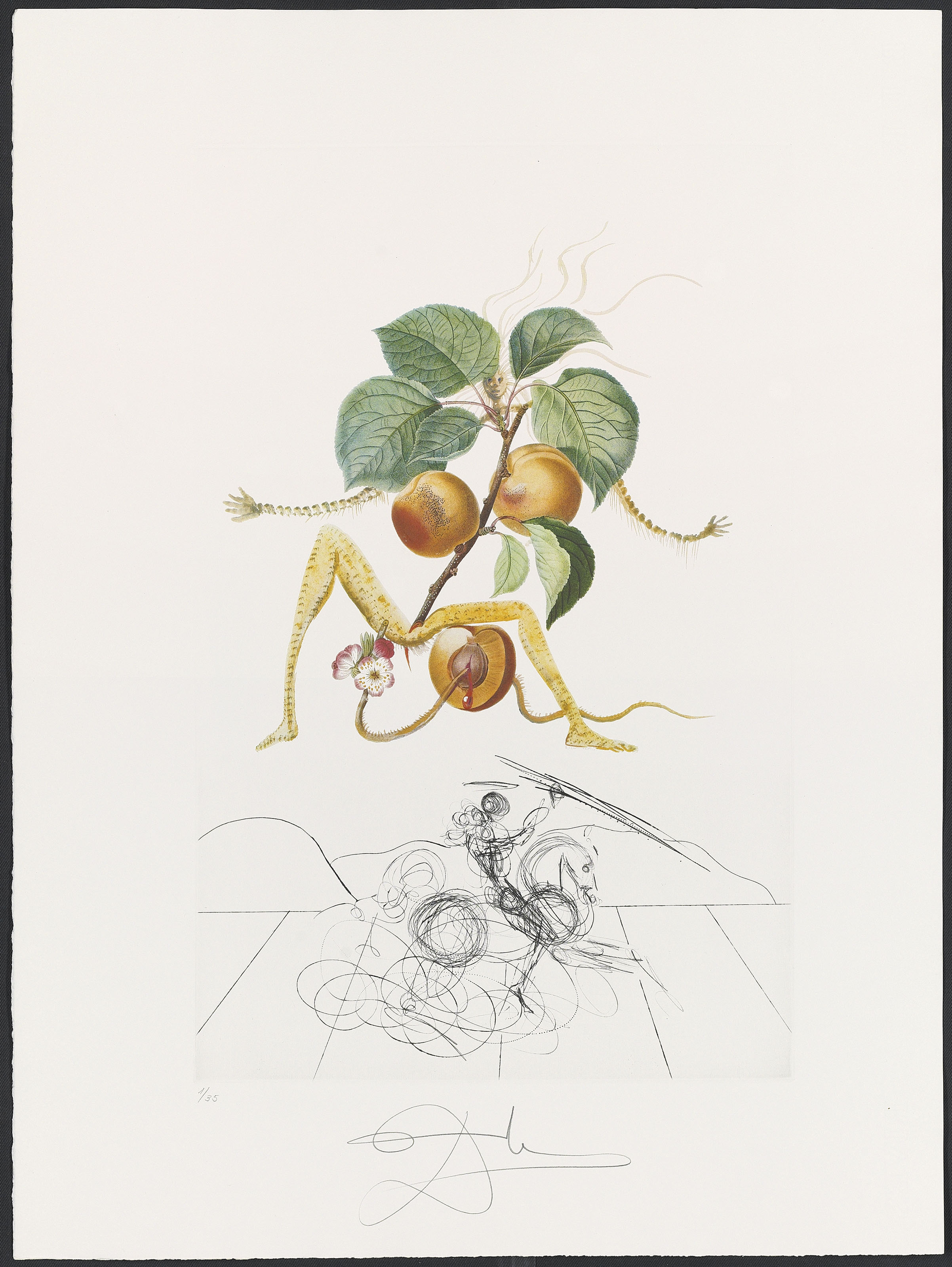 Salvador Dalí — Десять тарелок от: FlorDali ("Лесные фрукты") (M. & L. 344, 346-7, 349-355), изображение 3