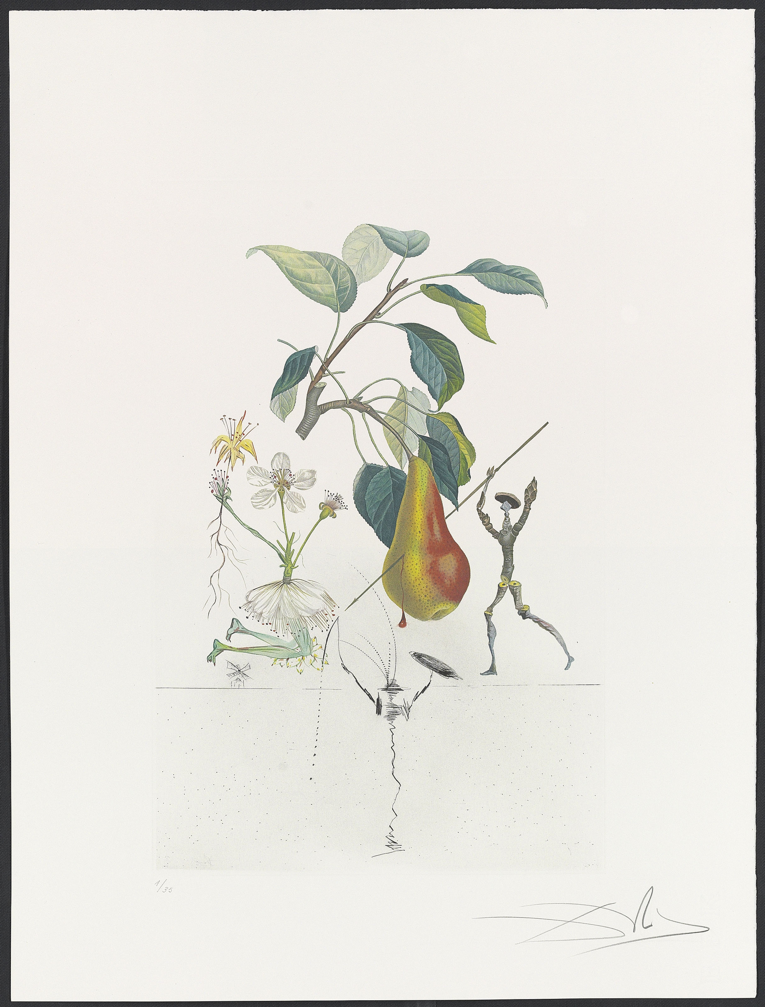 Salvador Dalí — Десять тарелок от: FlorDali ("Лесные фрукты") (M. & L. 344, 346-7, 349-355), изображение 4