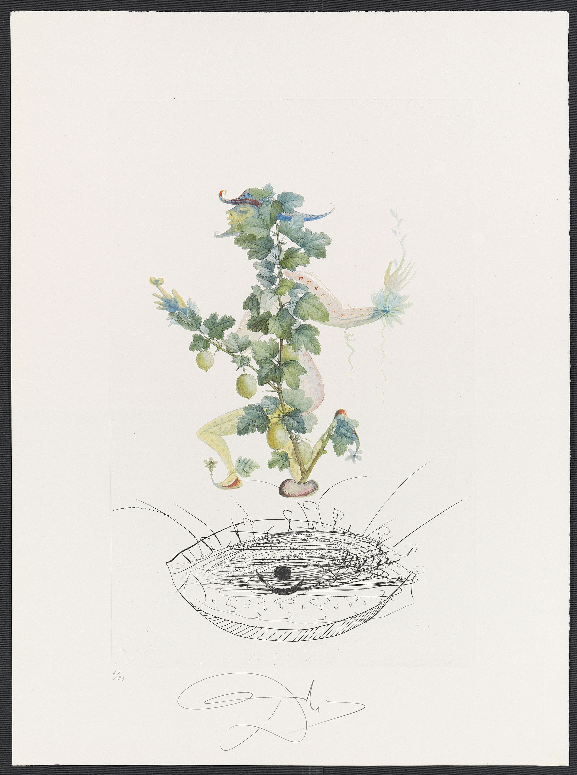 Salvador Dalí — Десять тарелок от: FlorDali ("Лесные фрукты") (M. & L. 344, 346-7, 349-355), изображение 5