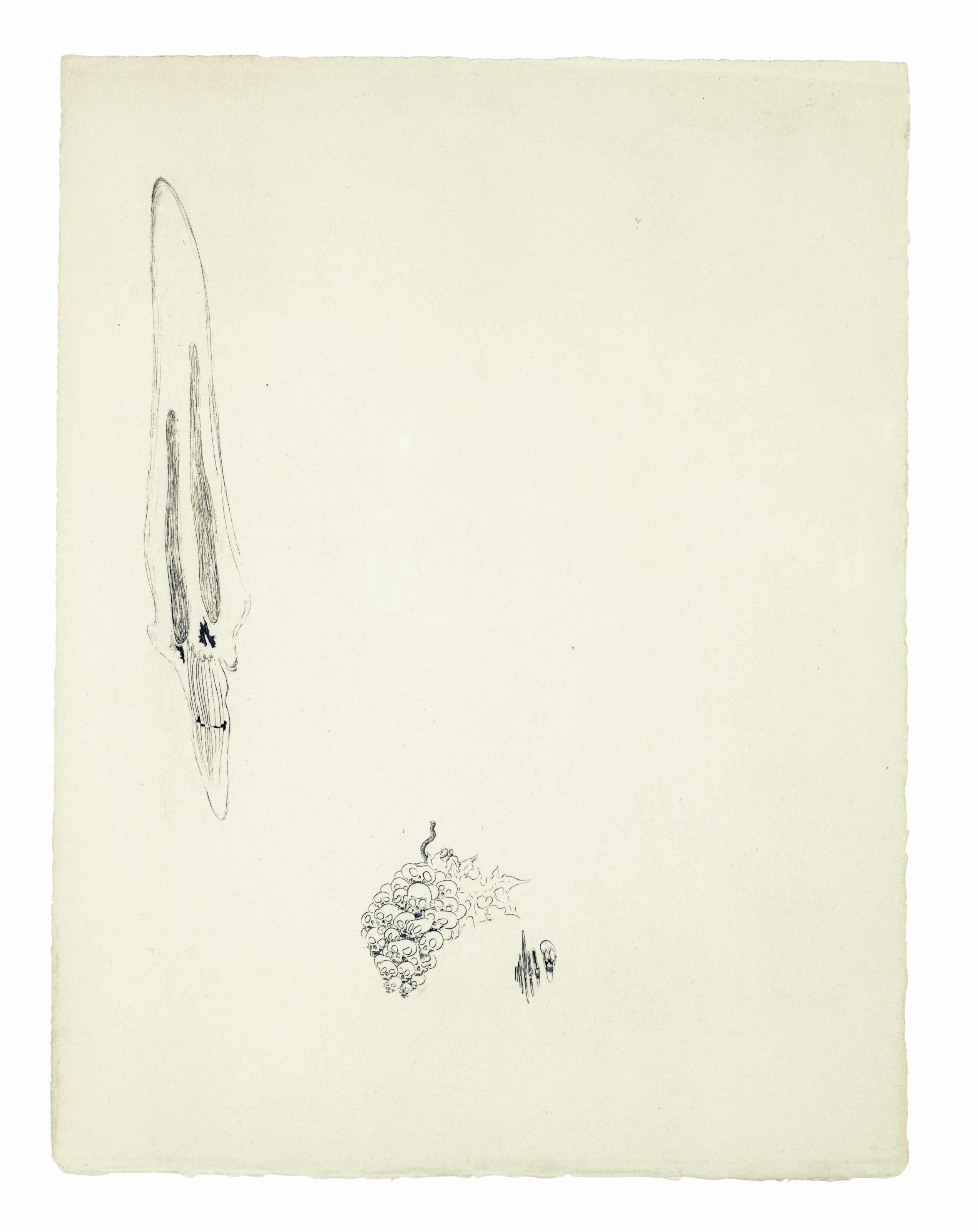 Salvador Dalí — Песни Мальдорора : 22 гравюры, изображение 19