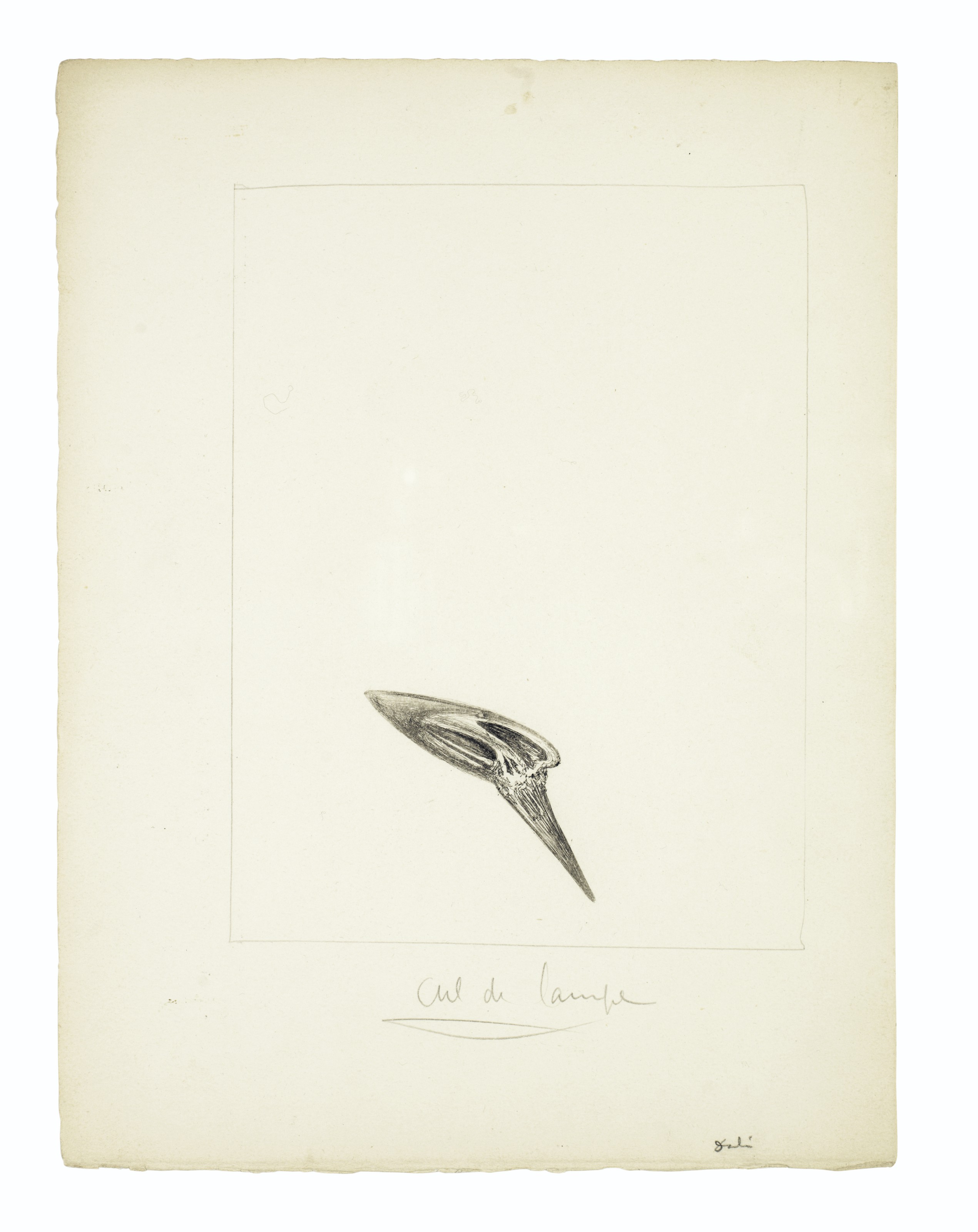 Salvador Dalí — Песни Мальдорора : 22 гравюры, изображение 21