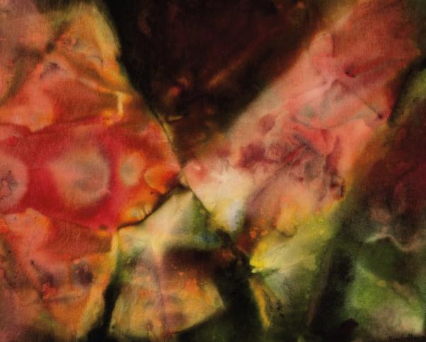 Sam Gilliam — Без титра